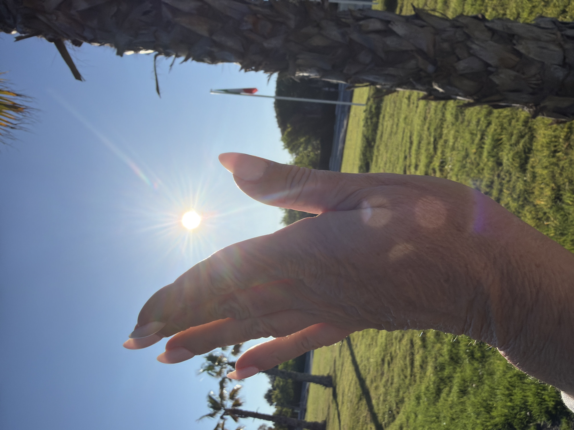 The image shows a person's hand held up towards the sun against a blue sky. The background includes greenery resembling a lawn or grassy area, palm trees, and the trunk of a larger tree. A flag with red, white, and green colors is visible in the background. Given the location of Mont-roig del Camp, Spain, the scene likely depicts a sunny outdoor area, potentially a park or residential neighborhood with Mediterranean vegetation. The person is interacting with the sun, perhaps trying to partially block it with their hand.