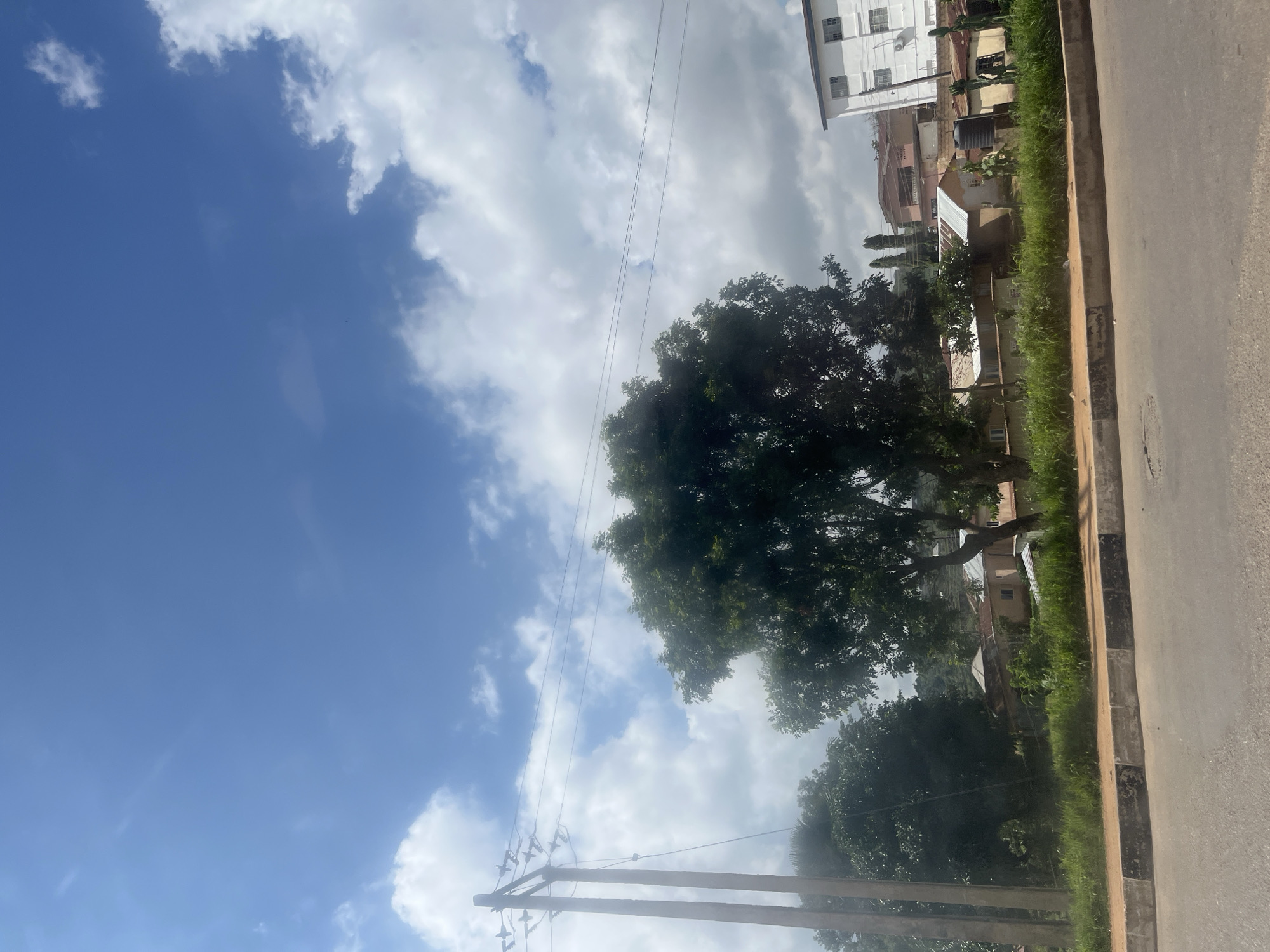 The image depicts a roadside view in Jos, Nigeria. A paved road with a textured shoulder runs across the bottom of the frame. Beyond the shoulder, a strip of dry grass and some green vegetation leads up to a line of modest buildings with metal roofs. A large, leafy tree dominates the center-left of the mid-ground, with another smaller tree to its left. Power lines are strung between two wooden utility poles on the far left, with more power lines extending across the frame towards the right. In the background, a multi-story white building with several windows is visible on the right side, and other buildings with reddish-brown roofs are clustered further back. The sky above is a bright blue with scattered white, fluffy clouds. The scene appears to be from daytime.