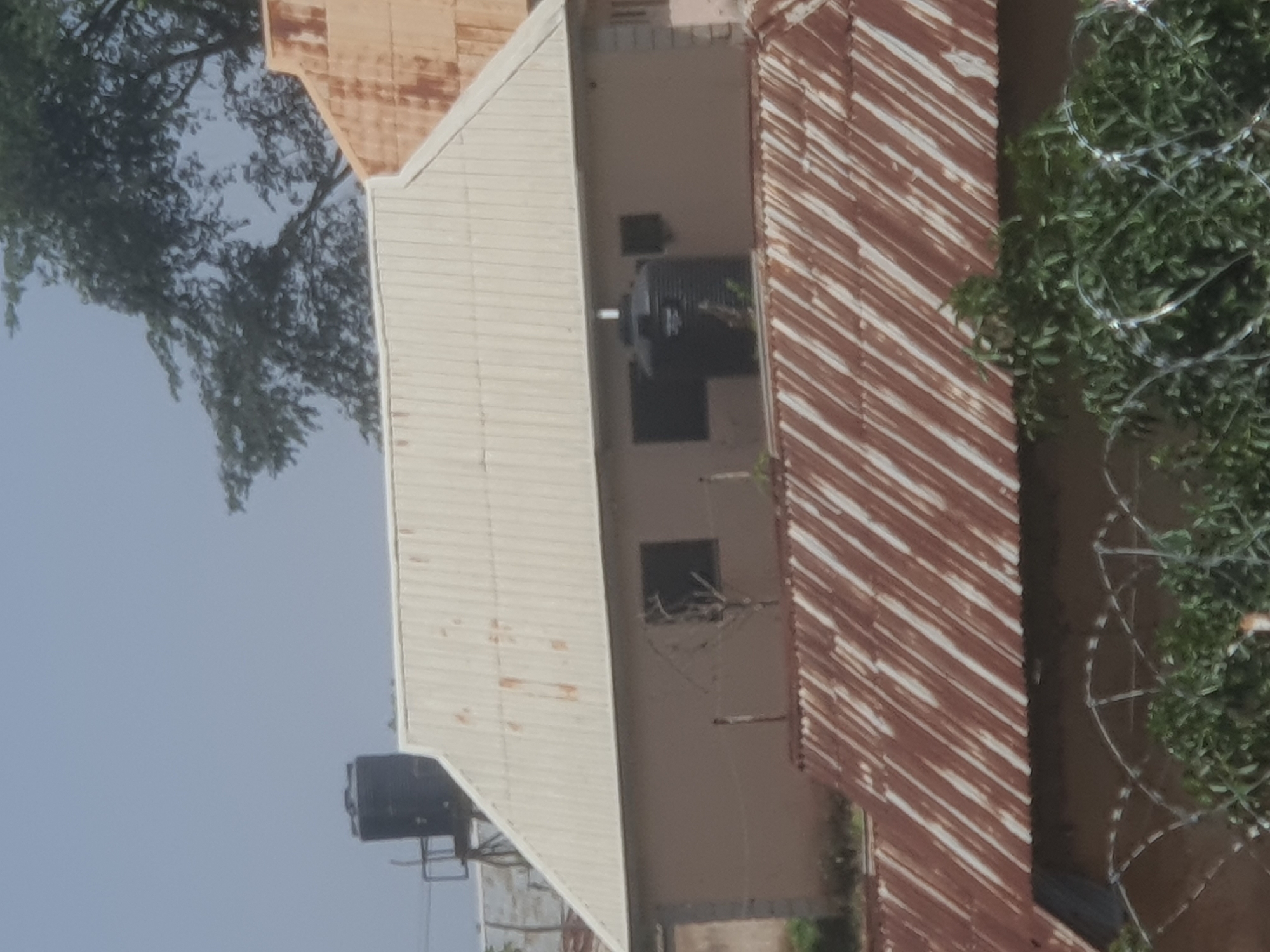 The image depicts a residential area in Jos, Nigeria, characterized by its architecture and vegetation. In the foreground, a rusty corrugated metal roof with white accents is visible, with barbed wire fencing and lush green foliage in front of it, suggesting a secure or possibly neglected property.
Behind this, a light-colored building with a matching metal roof stands. This building has at least two dark, rectangular windows. Mounted on the roof, there are two large, black water tanks, a common feature in areas with unreliable water supply. To the right of this building, a portion of another structure with a similarly rusty corrugated roof is visible, indicating a dense arrangement of houses.
In the background, a large, mature tree with dense foliage partially obscures the sky, which is a pale blue, suggesting daylight but possibly overcast conditions. The overall impression is of a practical and somewhat weathered urban or peri-urban environment in Jos, where water storage solutions are prominent.