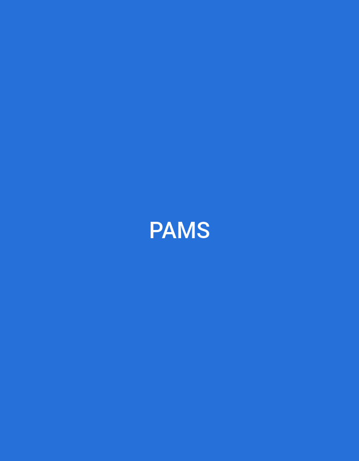The image displays a uniform, solid royal blue background. Centered both horizontally and vertically within this blue field is the word "PAMS," rendered in clear, white, uppercase, sans-serif characters. No other objects, subjects, people, actions, or environmental features are discernible in the visual frame. This visual content is associated with a context in the city of Casablanca, Morocco.