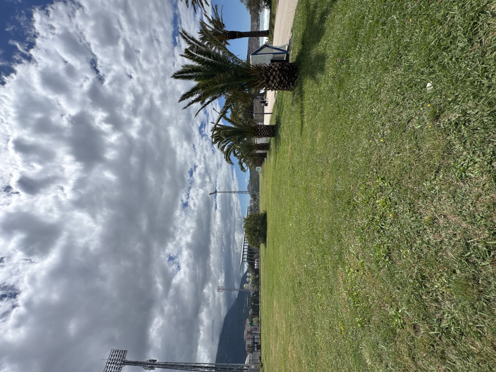 The image shows an outdoor scene on a grassy area in Bar, Montenegro. The location is near the shoreline, featuring palm trees lining the edge of the grass. In the background, there is a beach with light-colored sand. To the right, there is a small, light-colored building near the walkway. The sky is cloudy with patches of blue. In the distance, a mountain is visible. There are stadium lights on the left side of the image.