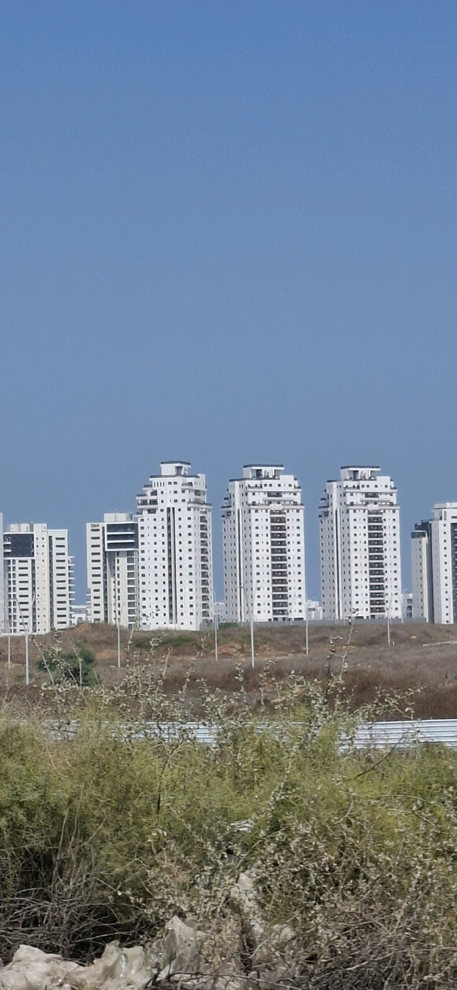 The image shows a cluster of modern, white, high-rise apartment buildings against a clear blue sky. The buildings are tall and feature a consistent architectural style with numerous balconies and regularly spaced windows. In the foreground, there is dry, brown vegetation and scrub, with some green bushes. The setting appears to be a developing or recently developed urban area, likely on the outskirts of a city. The image is a vertical, full-frame shot. This is likely a residential development in Ashkelon, Israel, a city known for its modern high-rise buildings.