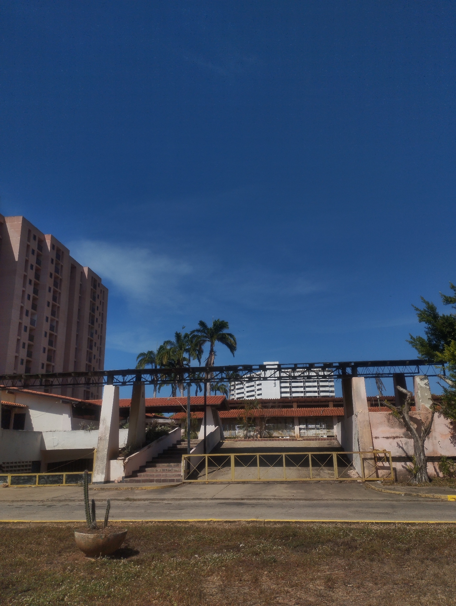 The image shows a clear, sunny day in Porlamar, Venezuela. Dominating the scene are buildings in the background, including a tall apartment building with a pinkish facade on the left and a white building with dark horizontal stripes in the center. In the middle ground, there is an open-air structure supported by concrete pillars and topped with a metal framework. This structure appears somewhat dilapidated, with faded paint and visible wear. A set of stairs leads up to the structure from the front. A yellow barrier is visible, potentially restricting access. In the foreground, there is a concrete planter containing cacti. The ground is covered with dry grass and vegetation. The sky is a bright blue with a few scattered clouds.