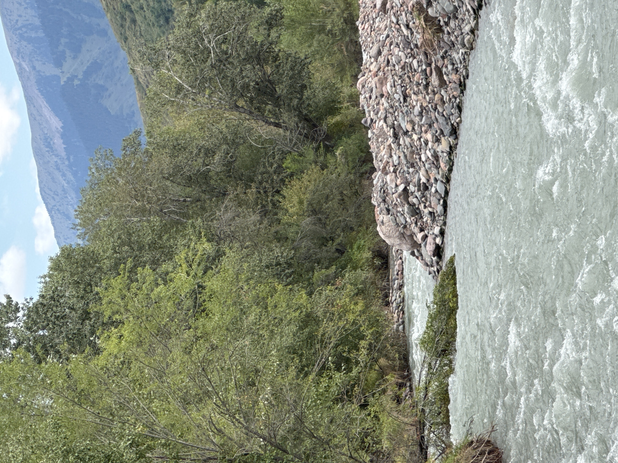 The image shows a mountain landscape in the city of Leskhoz, Kazakhstan. A wide, turbulent river flows through the foreground, its surface churning with white rapids. The riverbanks are lined with dense green trees and vegetation, with a noticeable pile of stones and rocks on the right bank. In the background, rolling hills covered in trees lead up to a larger, hazy mountain range under a pale blue sky with scattered clouds. The overall impression is a natural, untamed environment.