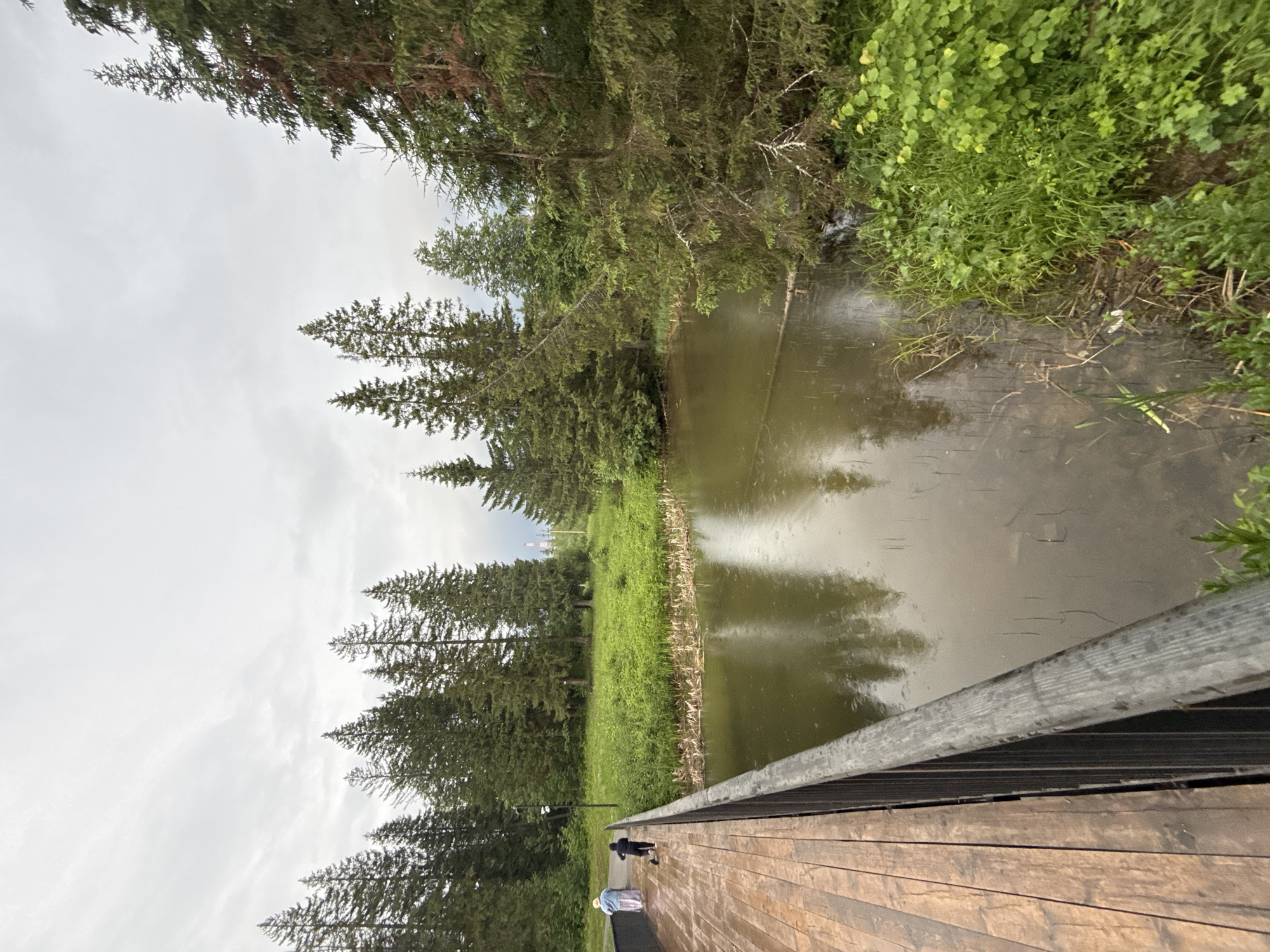 The image depicts a wooden bridge spanning a calm, murky body of water, possibly a river or pond, in Chusovoy, Russia. The bridge has a dark railing and weathered wooden planks. On the bridge, two individuals are visible: an adult wearing a white hat and light-colored clothing, and a child in a dark hooded outfit. They are walking away from the camera, towards a lush green bank lined with tall evergreen trees. The water reflects the overcast sky and the surrounding trees. The environment appears to be a natural, wooded area, with dense forestation and undergrowth bordering the water. The sky is cloudy, suggesting an overcast day. In the distance, beyond the trees, two tall industrial smokestacks are faintly visible, hinting at the proximity of an industrial area to this natural setting.