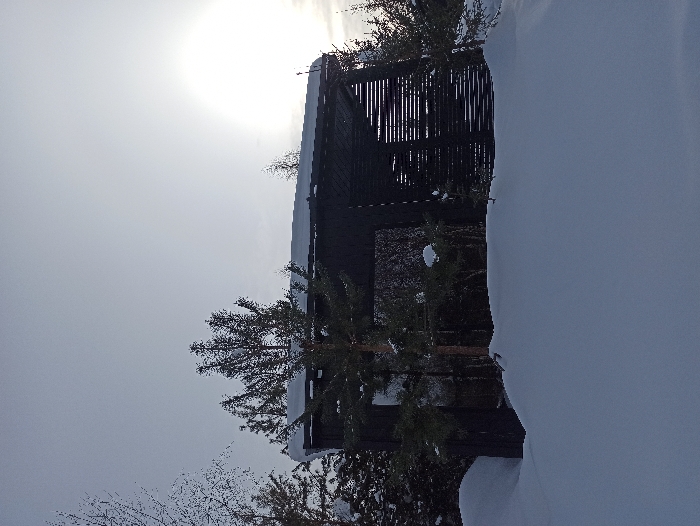 The image displays a static, snow-laden winter landscape in Nizhneye Zadolgoye, Russia. A dark-colored, possibly black or dark brown, modern architectural structure occupies the middle ground. This structure features a flat roof heavily blanketed with snow. Its left side includes a reflective rectangular opening or window, while the right side is characterized by a section composed of horizontal slats. The foreground is covered in deep, undulating snowdrifts. Several evergreen trees, also dusted with snow, are interspersed around and in front of the structure, with one prominent evergreen tree partially obscuring its left side. Bare deciduous tree branches are visible on the far left, also bearing snow. The sky is bright and hazy or overcast, with a strong sun glare originating from the upper right quadrant. No individuals or active subjects are present.