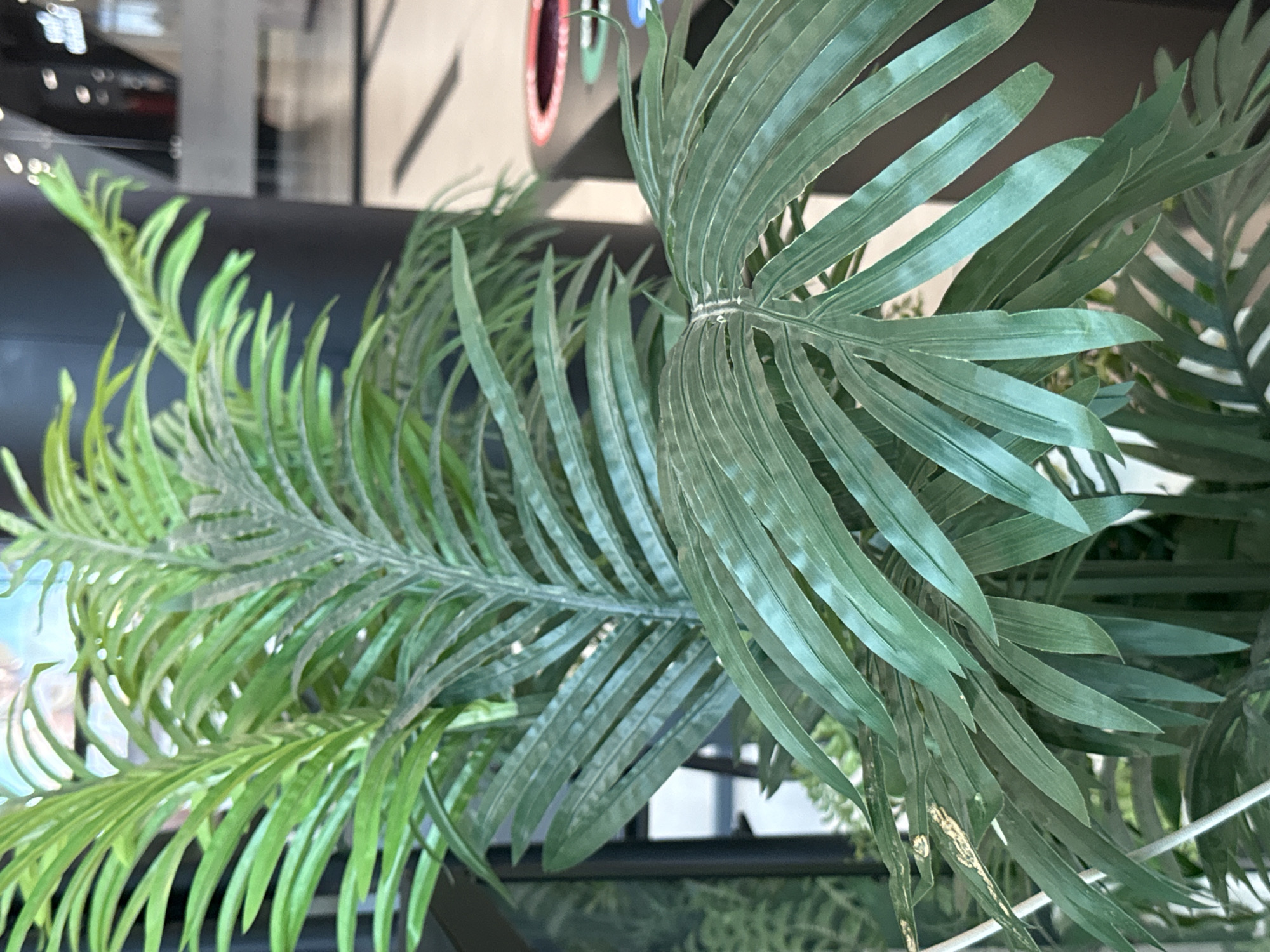 A close-up, shallow depth-of-field shot focuses on a large, artificial palm plant with lush green fronds. The fronds are detailed, with visible veins and a slightly dusty texture. In the blurred background, a large black column and a multi-compartment trash receptacle are visible. The trash receptacle has red and green openings, suggesting it's for recycling. The flooring in the background appears to be light-colored tile or linoleum, with dark lines indicating a pattern. A light source is visible in the upper left corner of the frame, possibly reflecting off the fronds. The environment appears to be an indoor public space, like a mall or office building. There are no people visible in the image. The location in the city of Ob, Russia, is not ascertainable from the visual information present.