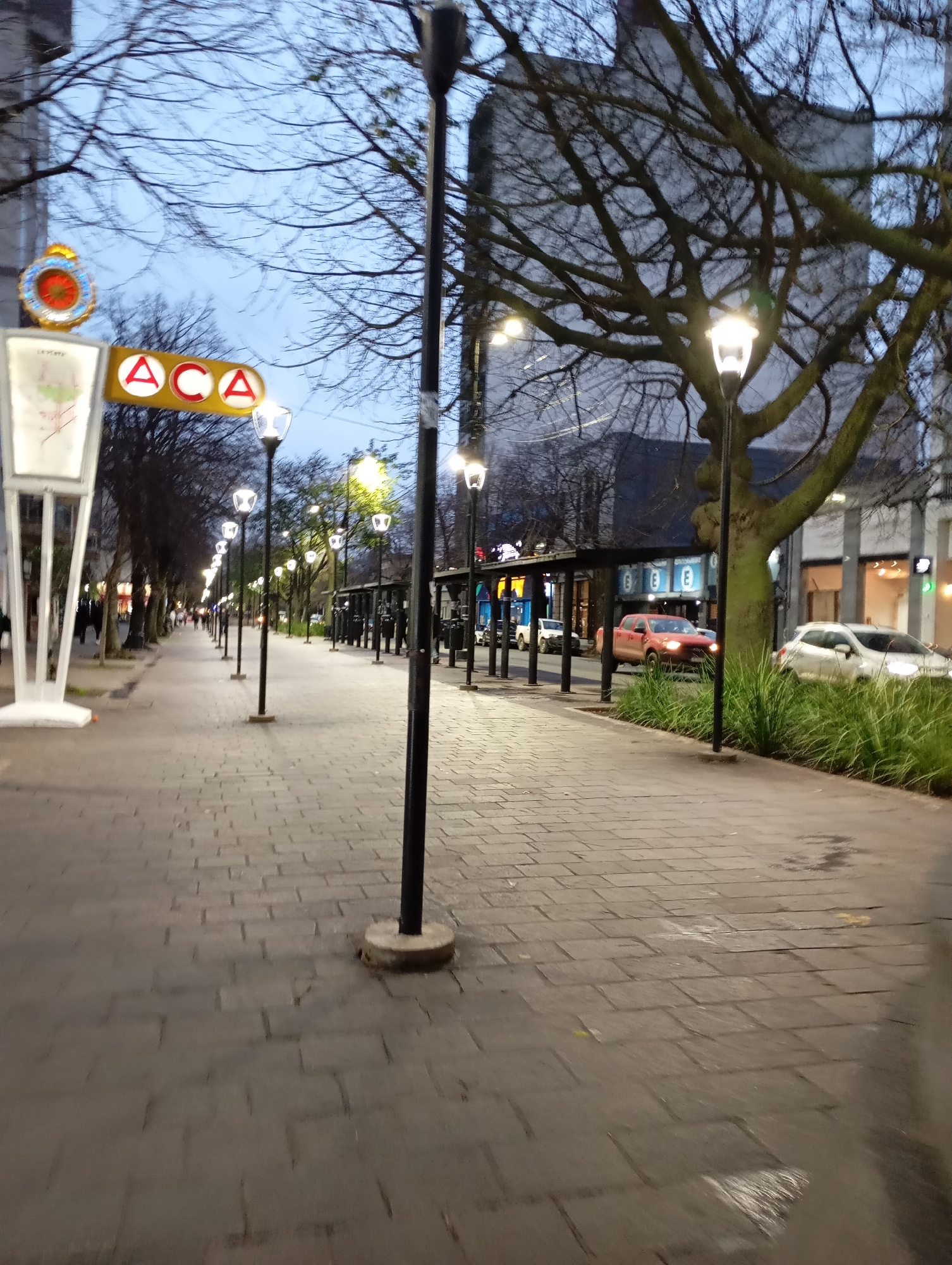 This image captures a view down a tree-lined pedestrian walkway in La Plata, Argentina, likely during twilight or early evening. The walkway is paved with rectangular bricks and illuminated by a series of lampposts. On the left side of the walkway, a sign with the letters "ACA" in red circles on a yellow background is visible, along with a white informational kiosk featuring a map. A large, bare-branched tree dominates the right side of the frame, its branches extending across the upper portion of the image against a dusky sky. In the background, buildings, including a taller structure, line the street. Several cars are visible on the adjacent street, including a red pickup truck and a white sedan. A covered bus stop or shelter is also present. The scene suggests a public urban space in La Plata, characterized by its pedestrian infrastructure, urban greenery, and typical city buildings.