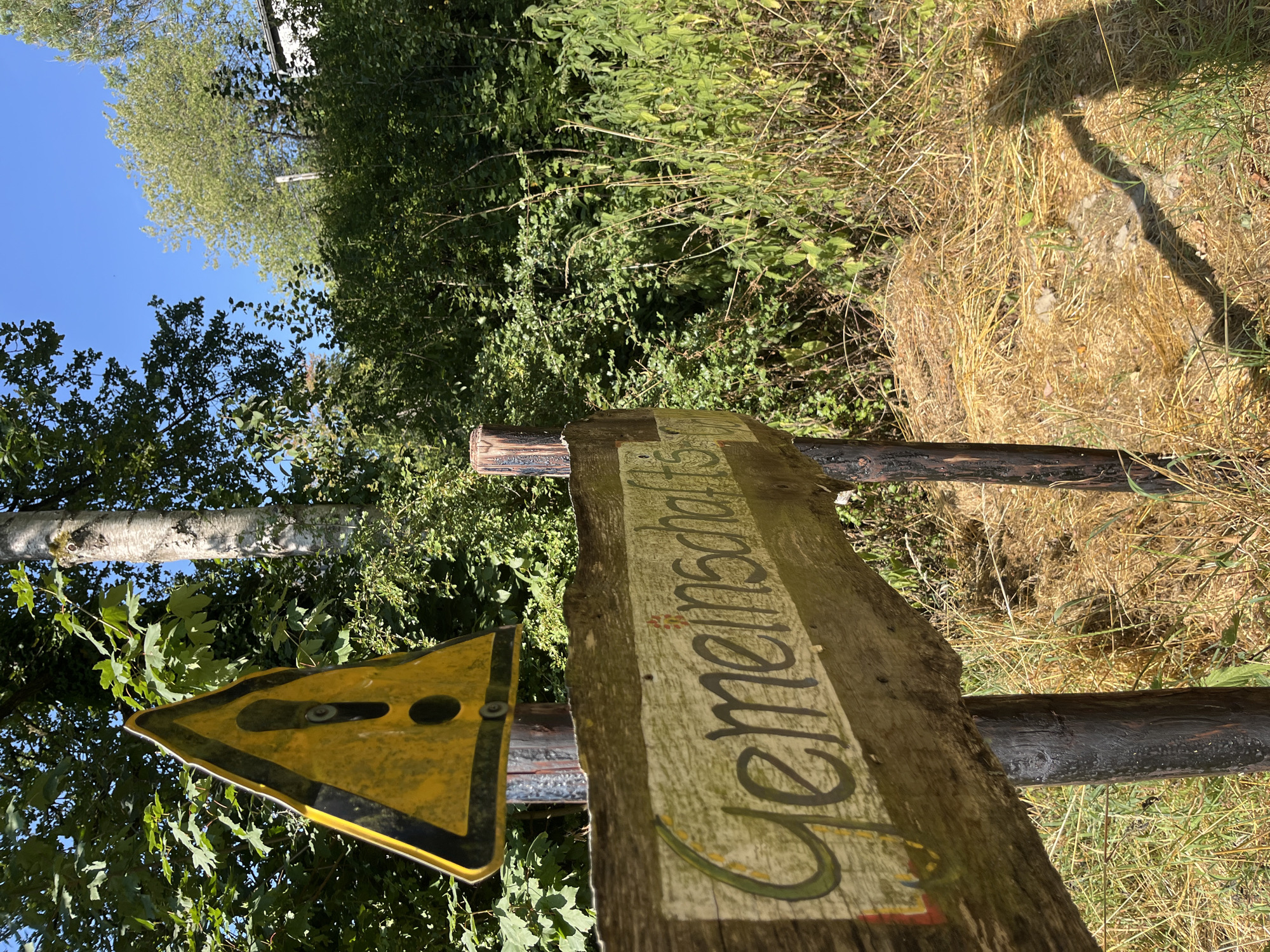 A weathered wooden sign with the German word "Gemeinschaft" (community) painted on it in green, stylized lettering is affixed to two dark posts. Above and to the left of the sign, a yellow triangular warning sign with a black border and an exclamation mark is mounted on a pole. The sign appears to be slightly warped. The background consists of lush green foliage and trees, with a clear blue sky visible in the upper portion of the image. The ground in front of the sign is covered in dry, yellow grass and straw. The scene suggests an outdoor location, possibly in a rural or park-like setting, within the city of Saint Vith, Belgium. There are no people visible in the image.