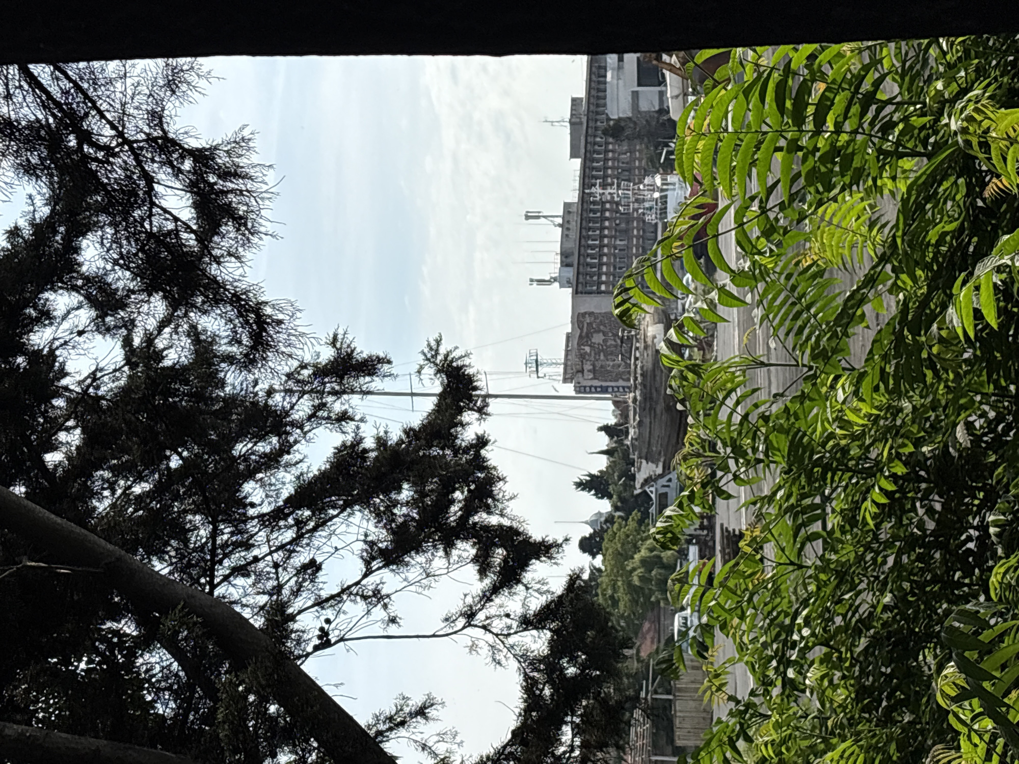 A medium shot captures a view of a boat docked on land, framed by dark, silhouetted tree branches in the foreground. The boat, a large sailing vessel with tall masts, appears to be undergoing maintenance or is on display. In the background, a long, multi-story building with numerous windows dominates the scene, with several antennas protruding from its roof. Other structures, possibly part of a harbor or industrial area, are visible to the sides of the building. Green foliage, lush and in focus, fills the bottom portion of the frame, obscuring some of the immediate foreground. The sky is overcast with scattered clouds.