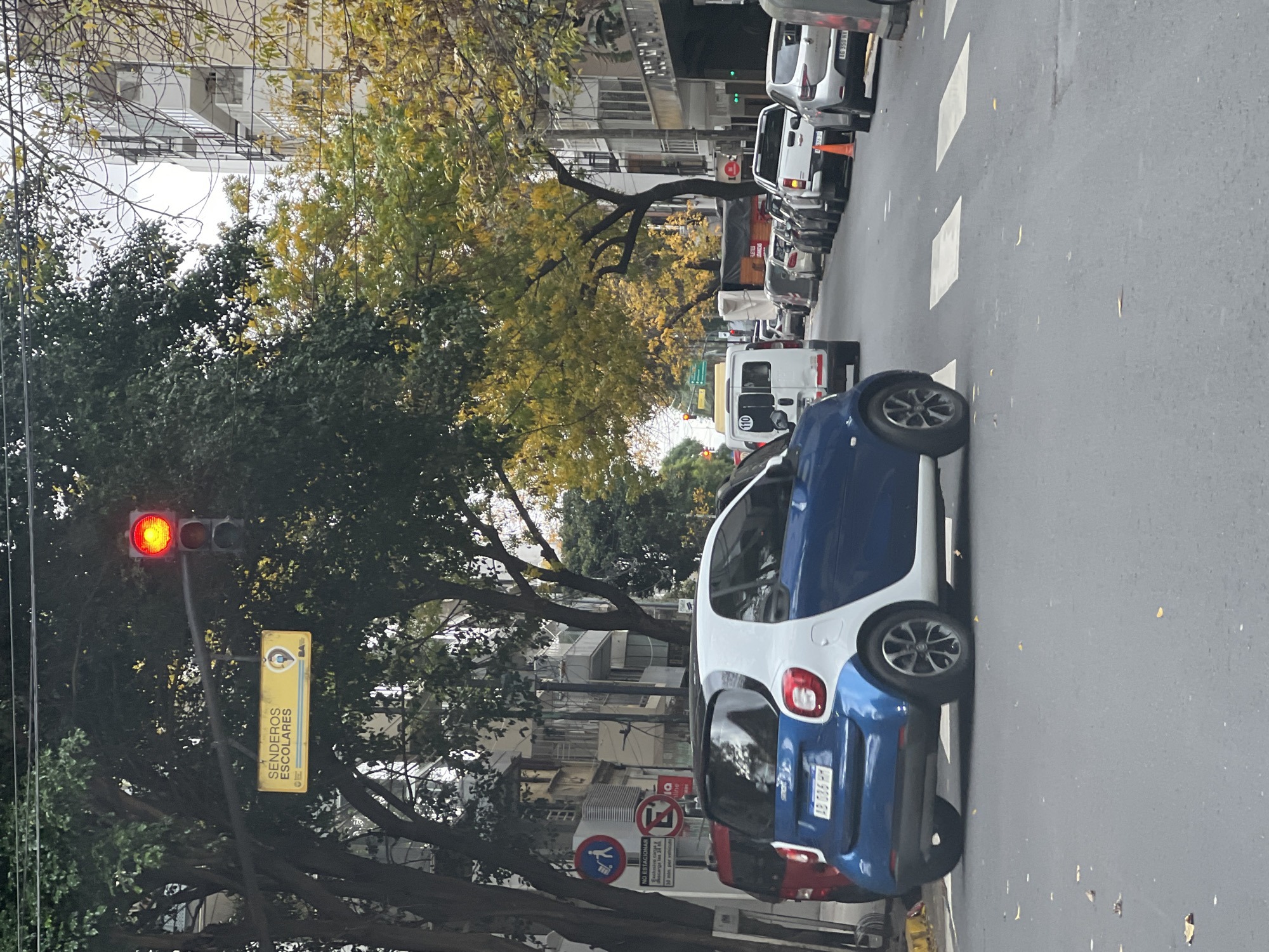 The image shows a street scene in Buenos Aires, Argentina. On the right side of the street, cars are parked parallel to the sidewalk. A blue and white Smart car is in the foreground. The street extends into the distance with more parked cars and some moving vehicles. The street surface is asphalt. Trees line the street, some with yellowing leaves, suggesting autumn. On the left, there is a traffic light showing red. A yellow sign is attached to the traffic light pole, reading "SENDEROS ESCOLARES." A "NO ESTACIONAR" sign is also visible. The buildings in the background appear to be residential. The sky is overcast. There are no people visible in the frame. The overall environment indicates a typical urban setting in Buenos Aires on an overcast day.