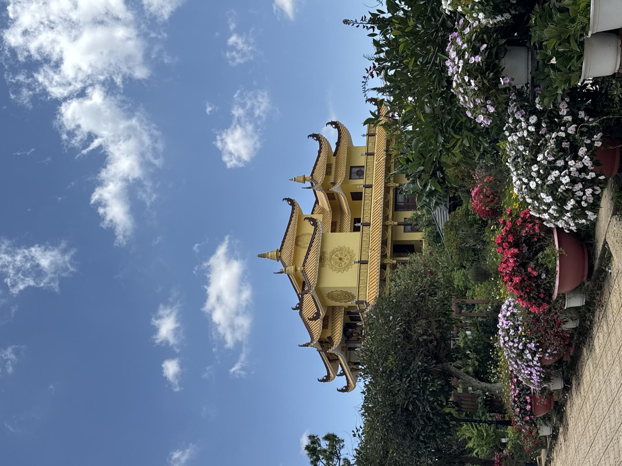 A wide-angle, eye-level shot captures a vibrantly colored temple, bathed in sunlight under a bright blue sky scattered with fluffy white clouds. The temple, with its golden, multi-tiered roofs and ornate yellow facade, sits majestically behind a lush foreground of trees and potted flowers. The flowers, in various shades of pink, red, and white, are arranged in large, terracotta-colored pots, creating a colorful border along a paved walkway. The walkway, made of light-colored stone pavers, leads the eye towards the temple. The architectural style suggests it's a Buddhist temple, possibly located in or near Da Lat, Vietnam, known for its serene landscapes and spiritual sites. The scene evokes a sense of peace and natural beauty, with the vibrant colors of the temple and flowers contrasting against the soft blues of the sky.