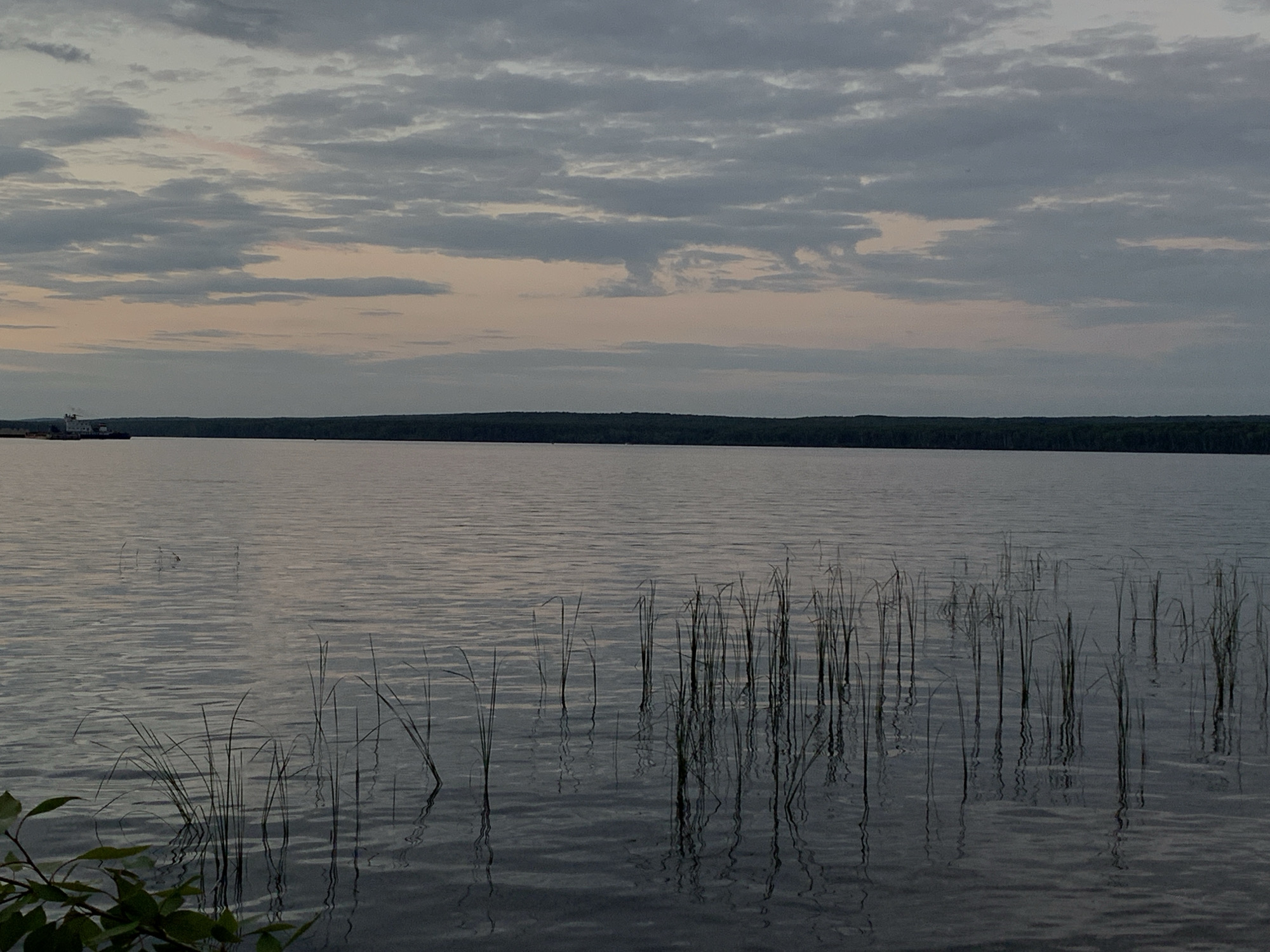 The image depicts a serene lake scene at dusk in Chaikovsky, Russia. The sky is overcast with muted colors of grey and pink, suggesting the sun has recently set. A dark, tree-lined horizon stretches across the background. In the distance on the left, a small industrial structure, possibly a barge or a dock, is visible. The foreground of the lake is calm, with gentle ripples disturbing its surface. Reeds and aquatic plants emerge from the water, their reflections creating dark, elongated shapes on the surface. A few green leaves from a nearby plant are visible in the lower left corner, partially obscuring the view. The overall atmosphere is quiet and tranquil.