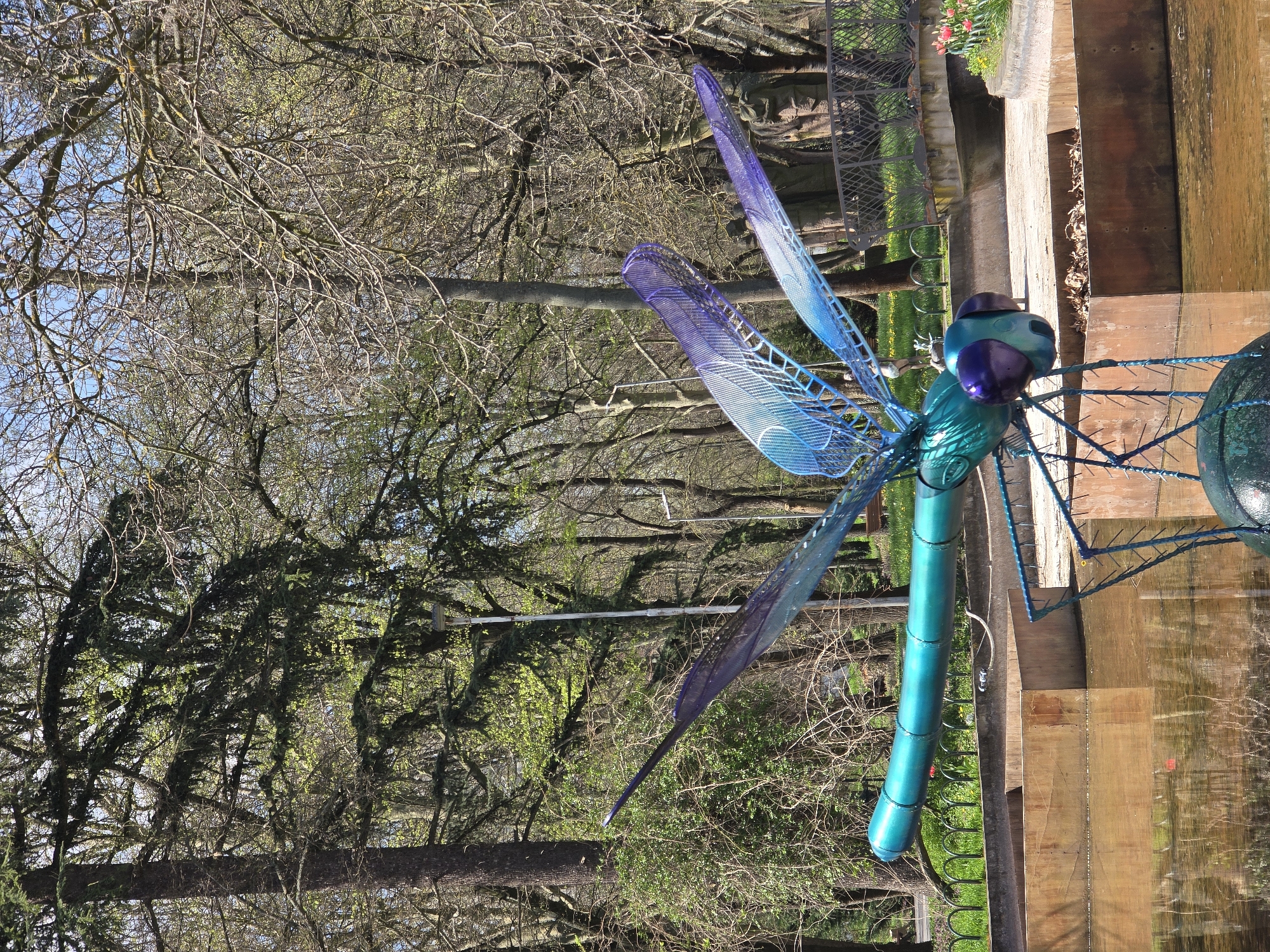 The image shows a turquoise and purple metal dragonfly sculpture installed on a wooden structure next to water, likely a pond or lake. The background features trees with both bare and budding branches, indicative of early spring. The dragonfly is positioned against this natural backdrop, suggesting the scene is a park or garden. The presence of a metal fence and some colorful flowers hint at a landscaped area. Specific to location, while I cannot definitively confirm if this image is from Yambol, Bulgaria, the environment and the type of sculpture installation could potentially be found in a public park or garden setting within a similar urban environment. Without any other visual clues or metadata, confirming its precise location in Yambol is not possible.