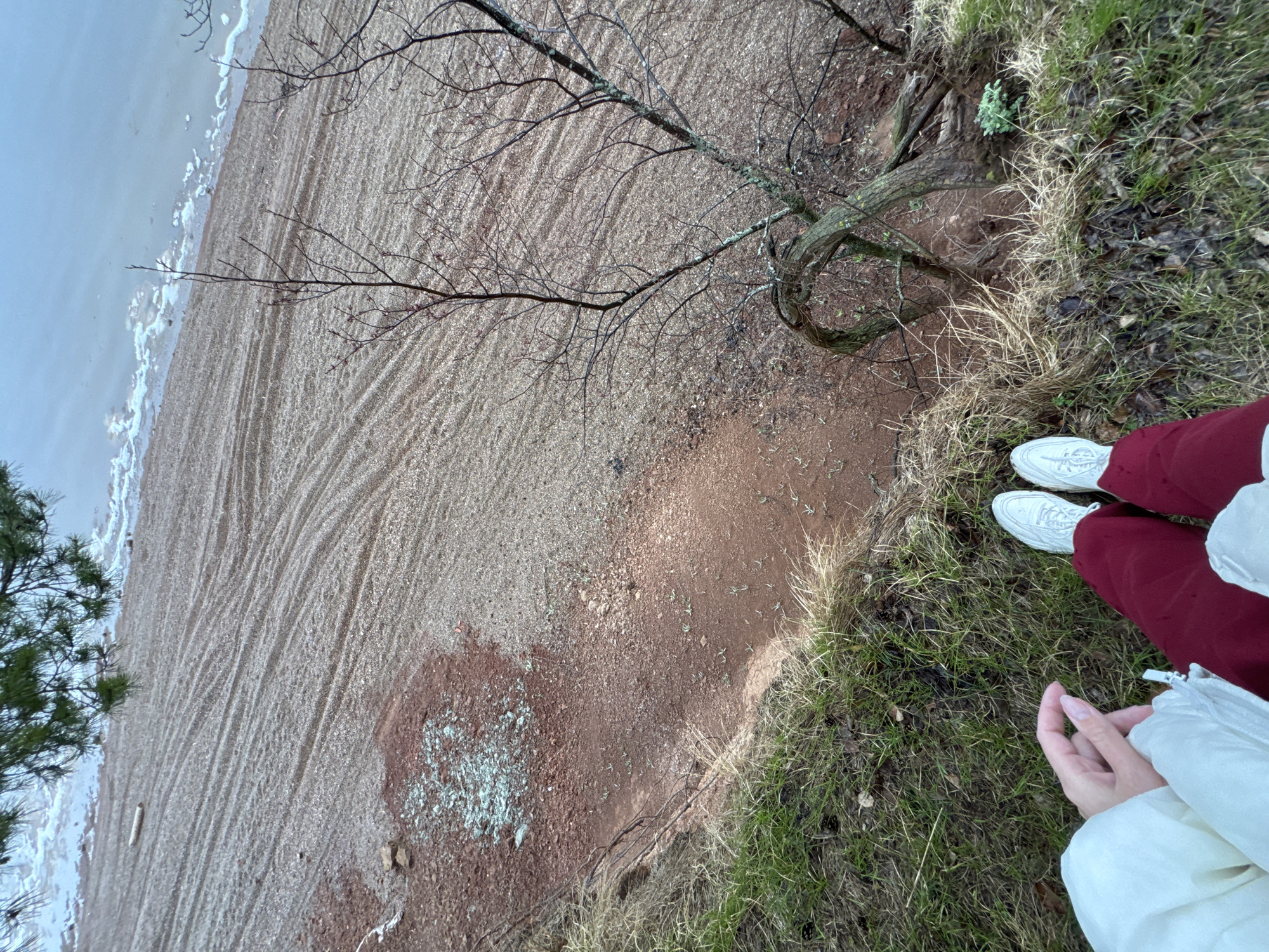 The image captures an outdoor scene with a body of water on the left side, possibly a lake or river, with a light blue hue. A sandy or gravelly shoreline transitions into a reddish-brown soil area closer to the viewpoint. A bare tree with intertwining branches grows near the edge of this area.
To the right of the soil, there is a patch of green grass and other vegetation. A person is standing on this grassy area, with their lower legs and feet visible. They are wearing white sneakers and maroon-colored pants. Their hands, clad in a white jacket, are visible in the lower right corner.
While the image depicts an outdoor location, there is no definitive information to conclude it is situated in Chaikovsky, Russia.