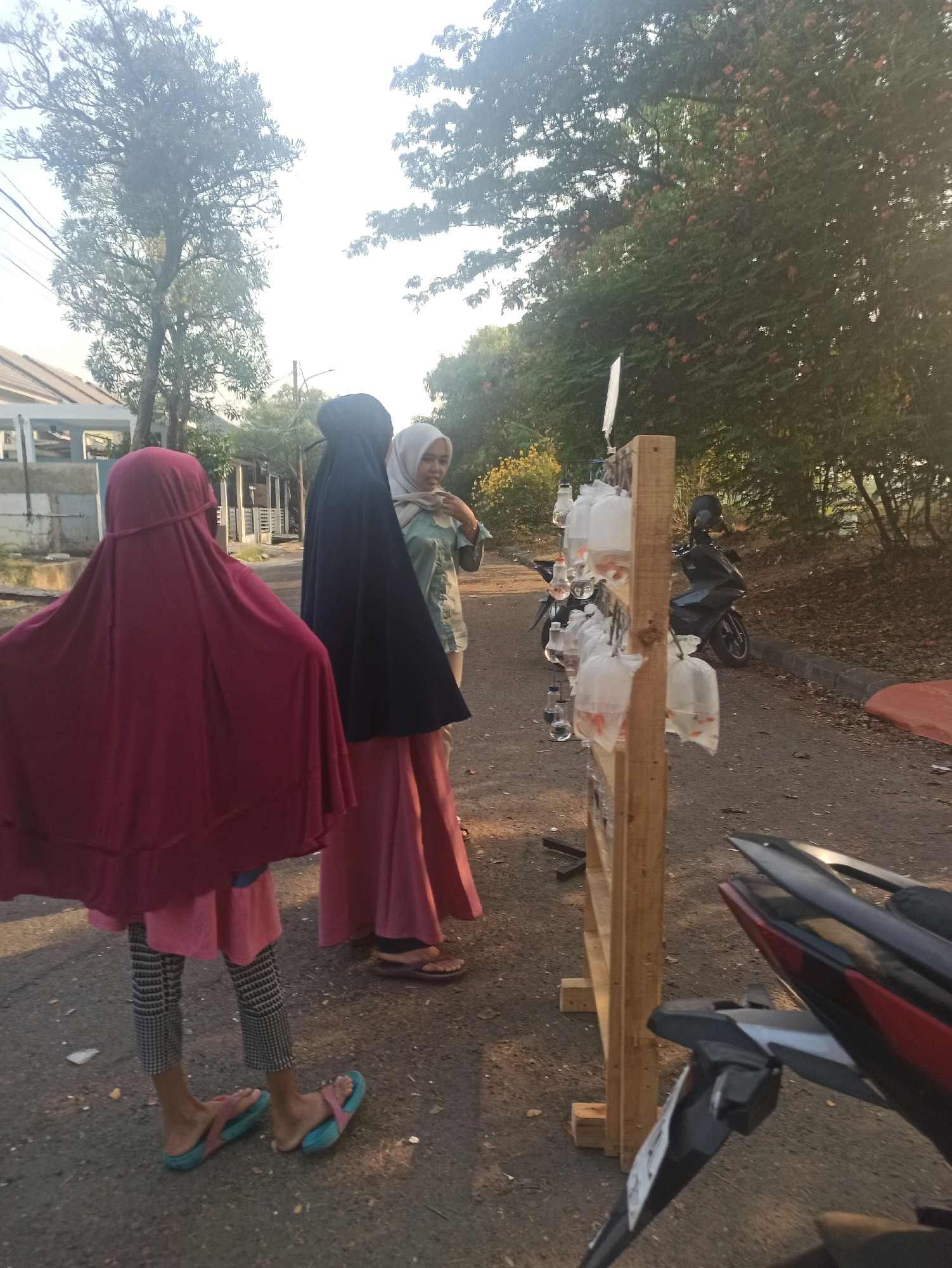 The image depicts a street scene in Telagamurni, Indonesia, with three individuals standing near a makeshift display of fish in plastic bags. The individuals are wearing Islamic attire, including hijabs. One person in the foreground is wearing a maroon hijab and a pink dress with patterned leggings. Another person is wearing a black hijab and a pink dress. The third person, to the right, is wearing a light-colored hijab and a green shirt. The display stand is made of wood and holds numerous plastic bags filled with small, orange fish. A black motorcycle is parked behind the display. The environment appears to be a residential area with houses visible in the background and trees lining the street. The lighting suggests it is late afternoon or early morning.