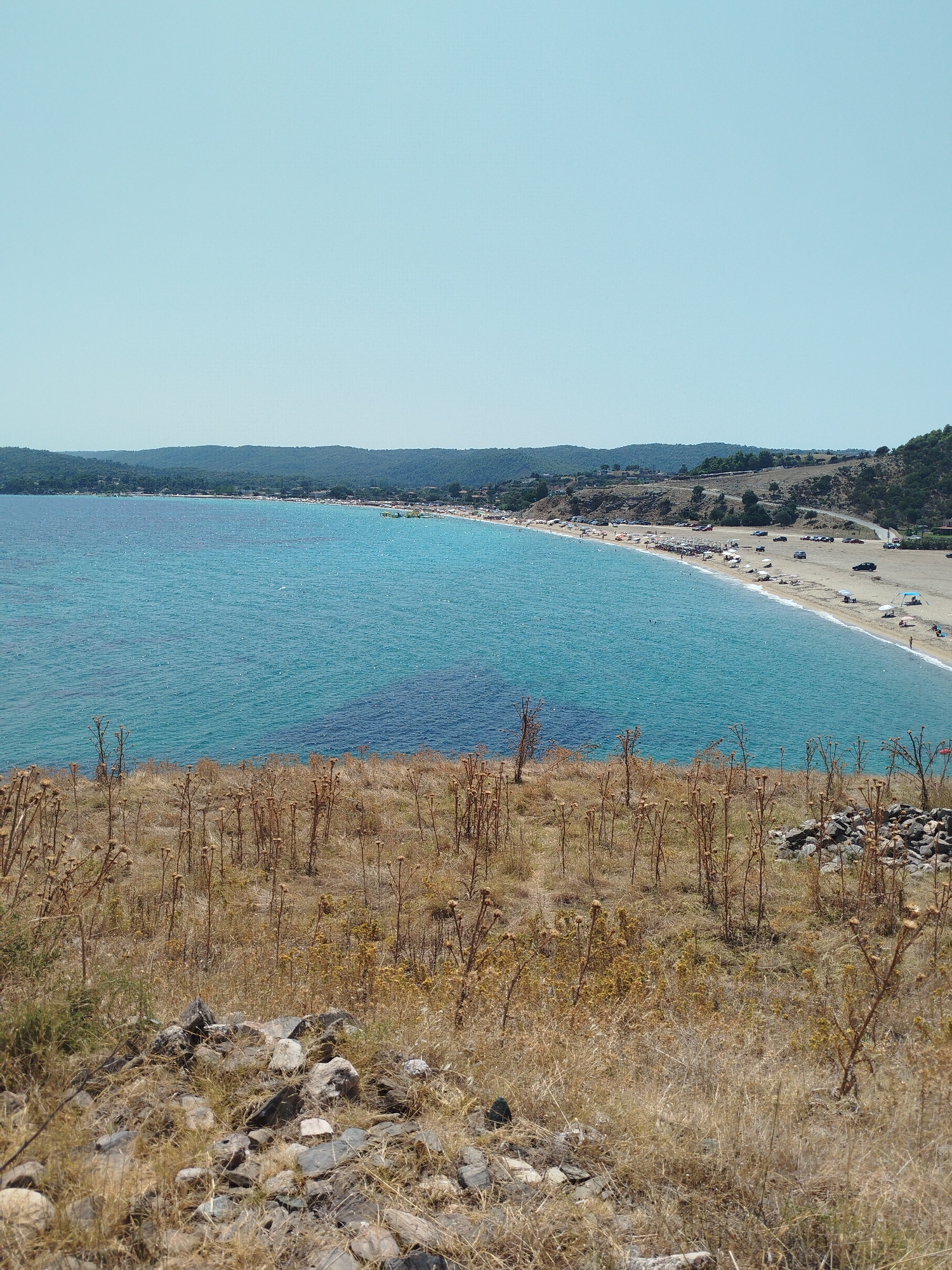 The image depicts a scenic view of a crescent-shaped sandy beach in Sithonia Municipal Unit, Greece, under a clear, pale blue sky. The foreground is dominated by dry, golden-brown vegetation and rocks, creating a stark contrast with the vibrant turquoise waters of the Aegean Sea.
The beach itself is populated with numerous sunbathers, umbrellas, and beach chairs, indicating a busy summer day. Several vehicles are parked along a road that runs parallel to the coastline, suggesting accessibility for visitors. The water appears clear with varying shades of blue, transitioning to a darker hue in deeper areas. A line of hills covered in green vegetation forms the backdrop to the beach, with some scattered trees and buildings visible on their slopes. The overall impression is one of a popular coastal resort area.