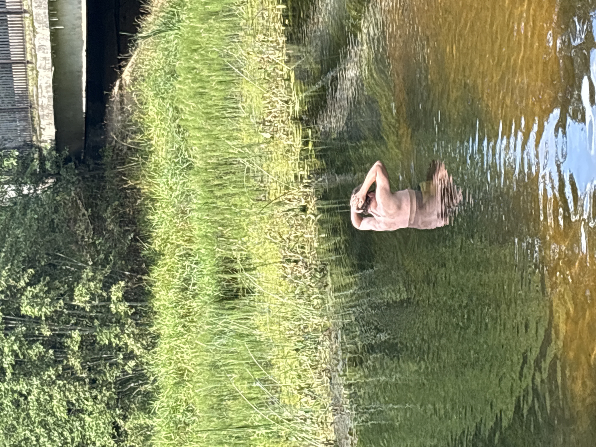 A person is standing in a body of water with their hands on their head. The water is murky and appears to have a green and brown hue, with ripples visible on the surface. Behind the person, tall green grass and reeds line the bank of the water. In the background, a bridge with railings and concrete supports spans across the scene, partially obscuring a dense area of green trees. The environment suggests an outdoor, natural setting, possibly a river or lake, with man-made infrastructure nearby. The image was taken during daylight hours, as indicated by the lighting. The location is identified as Даймище, Russia.