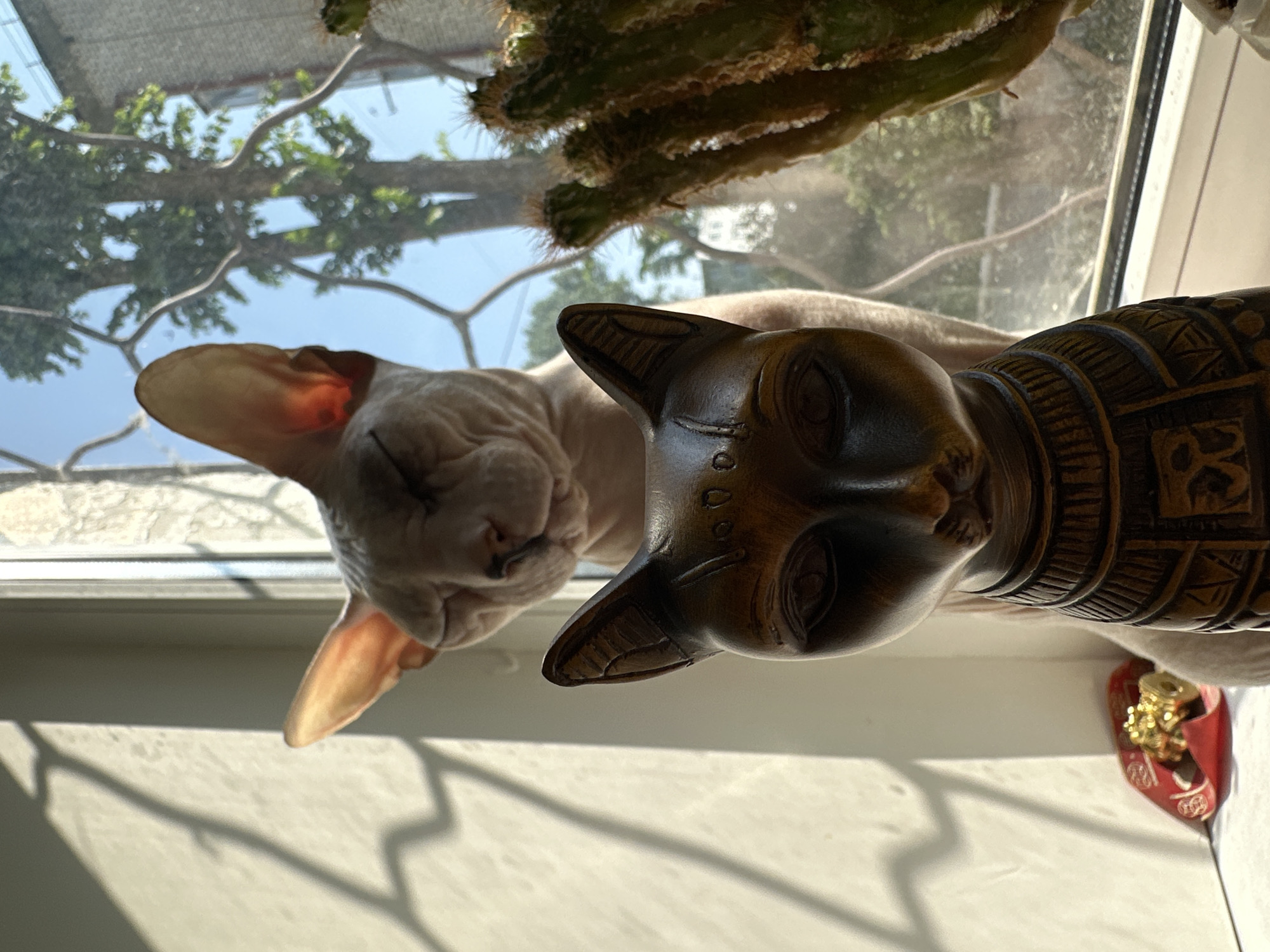 A light-colored Sphynx cat with closed eyes sits on a windowsill, partially obscured by a dark wooden Egyptian cat statue in the foreground. Behind the cat, a large tree with dense foliage is visible through a window with a crisscross pattern. To the right of the cat, a cactus plant stands. Sunlight casts a shadow on the left side of the image. A small golden ornament on a red object is visible on the windowsill to the left of the statue. The scene appears to be an indoor setting by a window, no specific location within Togliatti, Russia can be determined.