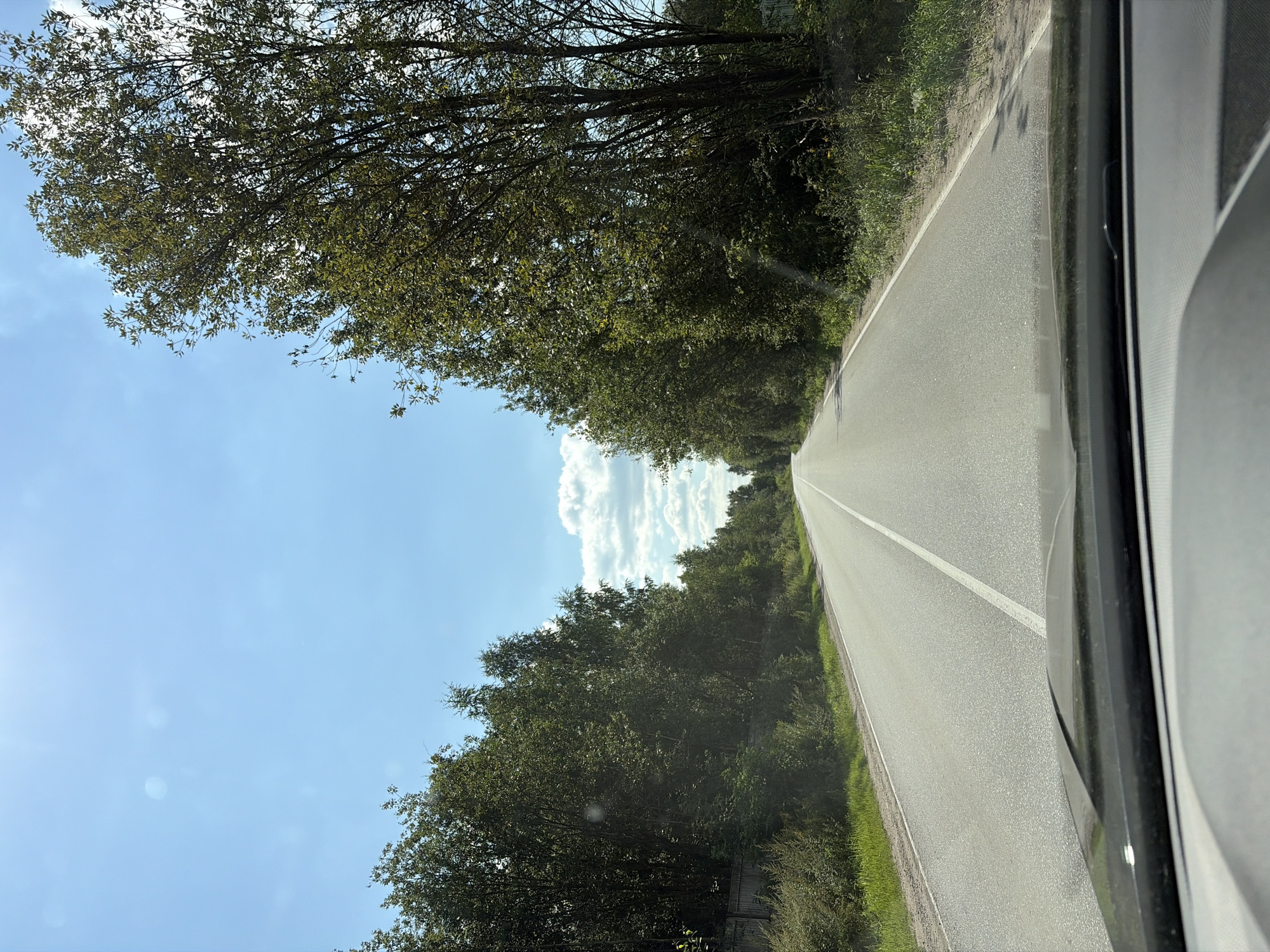 The image shows a paved road with a white dashed line in the center, leading into the distance. The road is flanked by dense green trees on both sides, with some patches of grass and undergrowth. The sky is blue with scattered white clouds. The perspective is from inside a vehicle, showing a portion of the dashboard in the foreground. The overall impression is a scenic drive through a wooded area. The location is identified as the city of Imeni Vorovskogo, Russia.