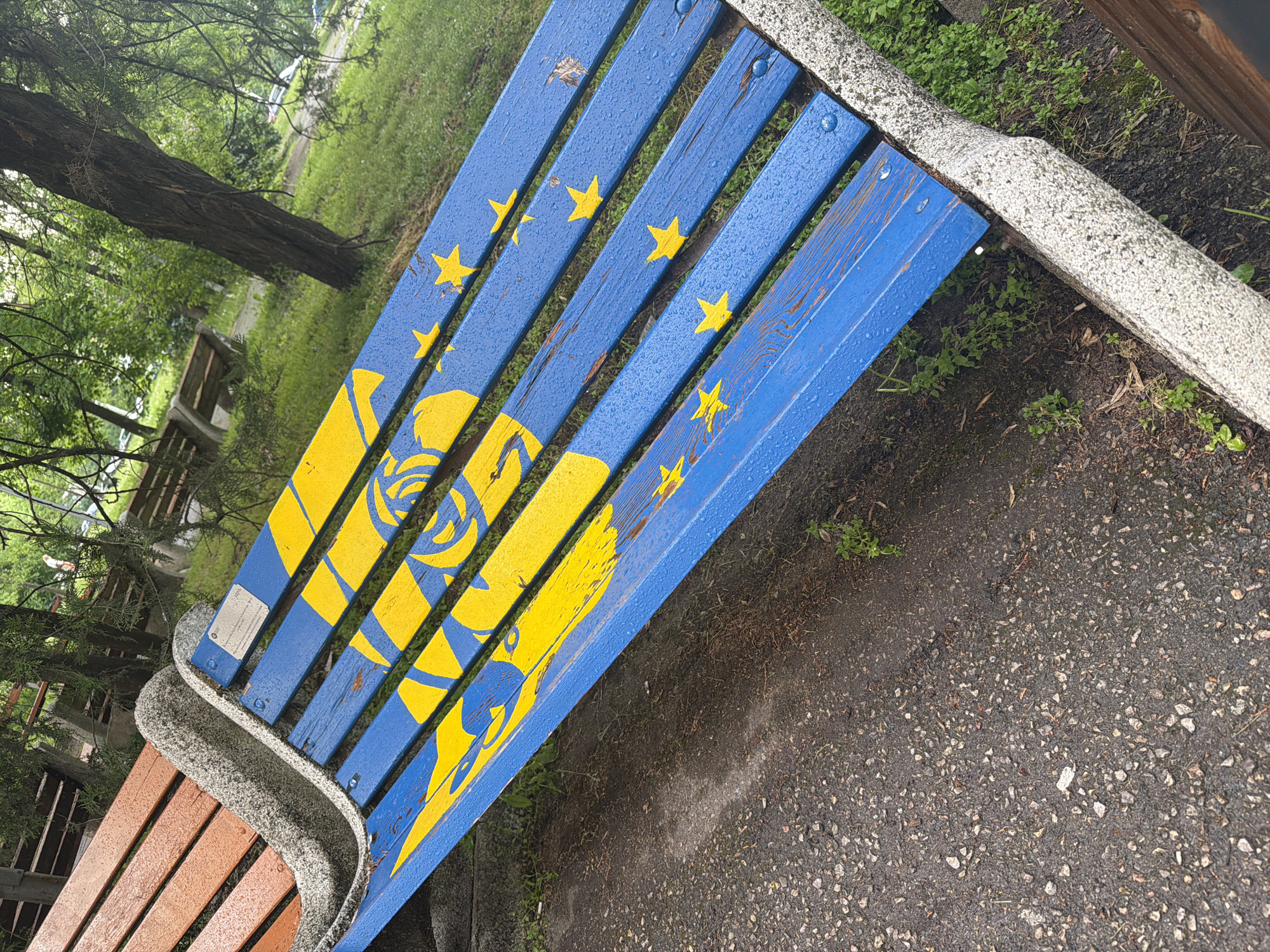 The image shows a park bench in what is presumably Sofia, Bulgaria. The bench's backrest consists of blue wooden slats with yellow designs. Some slats feature yellow stars, while others depict stylized figures resembling a rose and possibly a lion or similar animal. The bench's armrests are made of gray stone. The bench is wet, suggesting recent rain. The ground next to the bench is asphalt, also wet. In the background, there is a grassy area with trees and other benches visible.