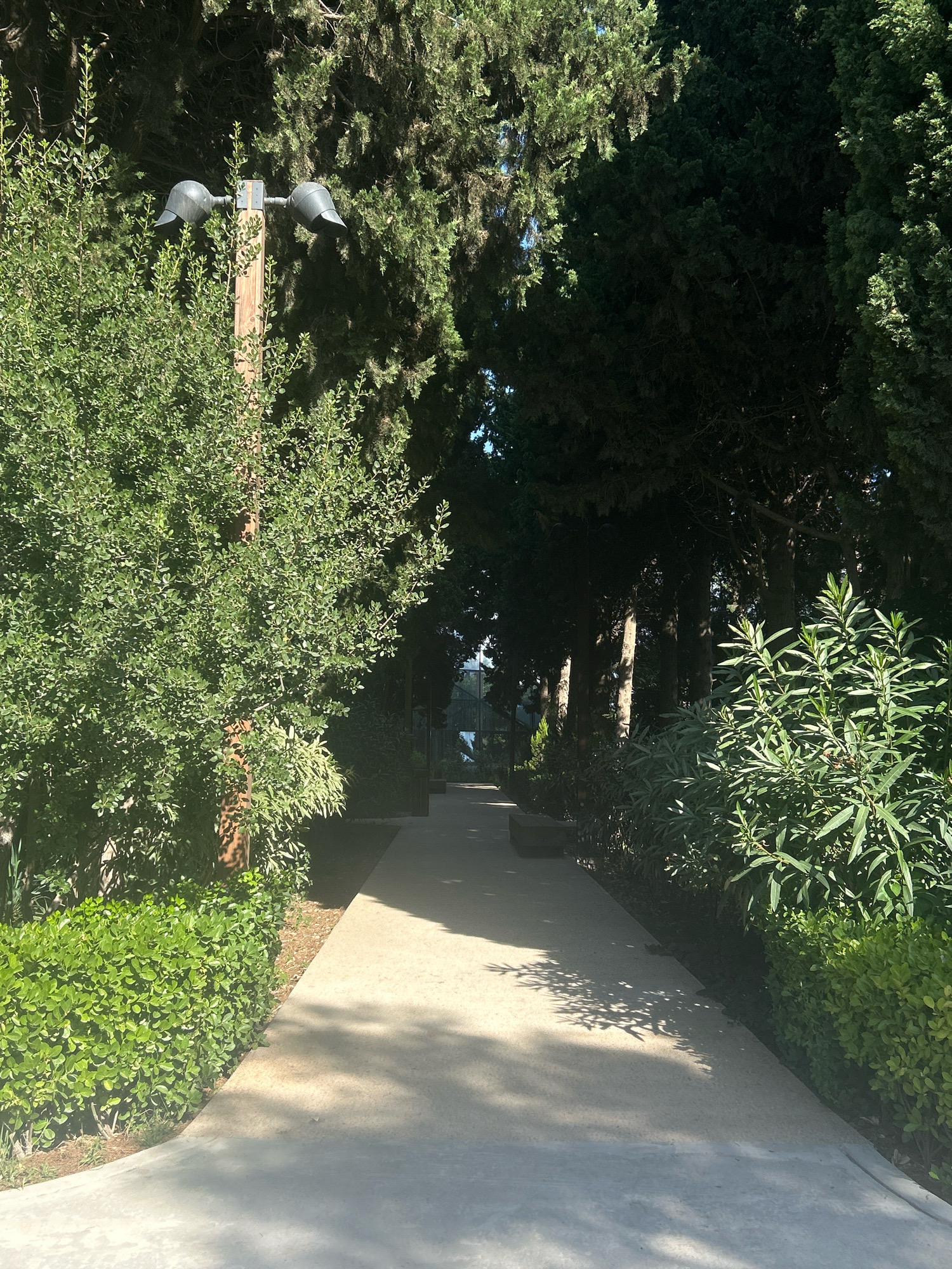 The image depicts a paved pathway bordered by lush green foliage and tall trees in the Sabail Raion of Azerbaijan. On the left side of the path, a wooden pole supports two black, dome-shaped lights. The pathway recedes into the distance, with sunlight casting dappled shadows from the overhead branches onto the ground. The environment appears to be a park or garden area, characterized by well-maintained landscaping and a serene atmosphere. There are no people or animals visible in the frame.
