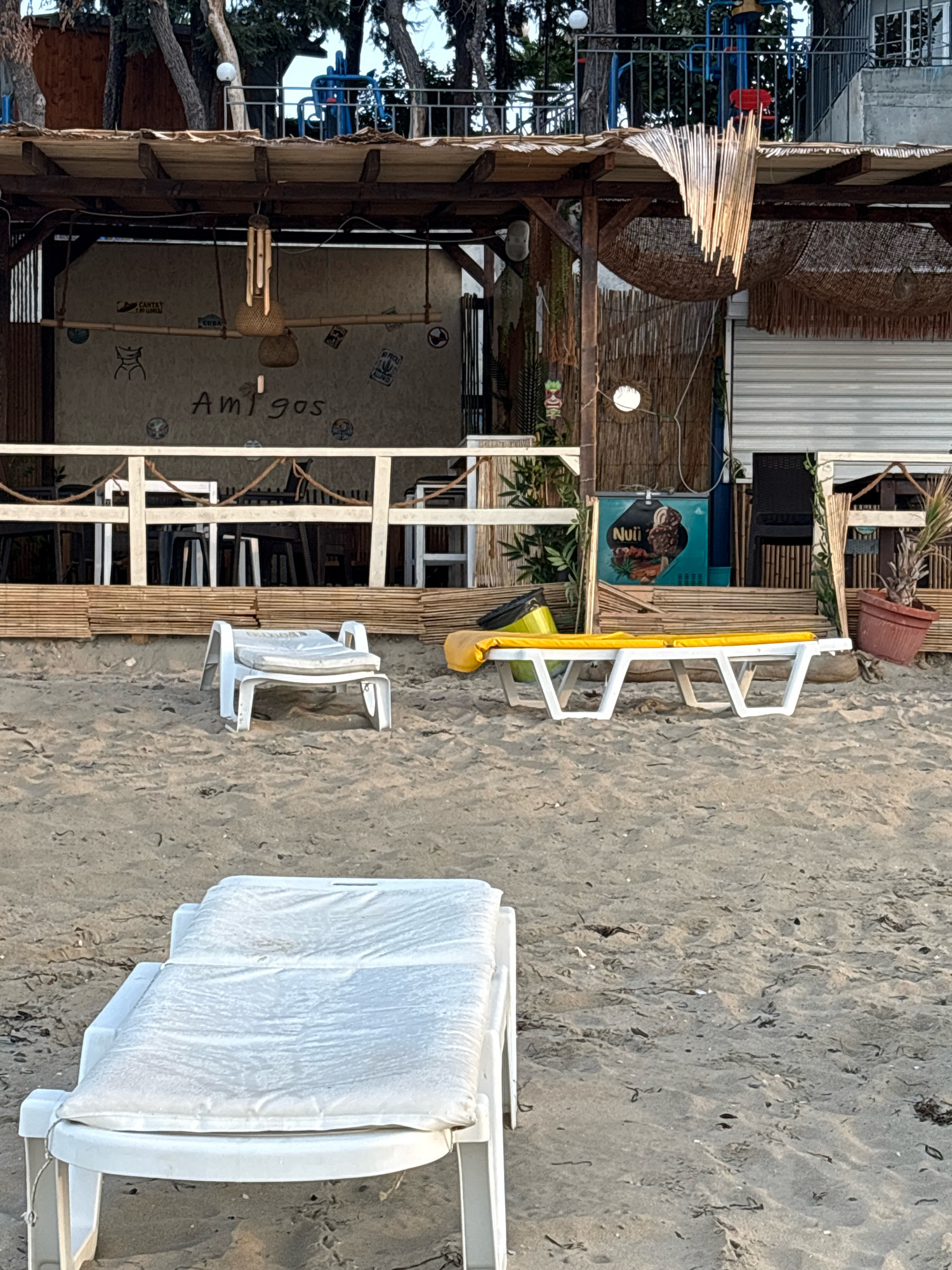 The image shows a beach in Sveti Vlas, Bulgaria. In the foreground, a white plastic lounge chair is covered with a white cushion. Further back, a white double lounge chair with yellow cushions is set on the sand. Behind the lounge chairs is a beach bar or restaurant with a thatched roof and bamboo walls. The bar has tables and chairs visible inside. An ice cream freezer with the brand "Nuii" is also present. A tropical plant in a brown pot is located to the right of the bar. The beach is made of sand with some dried seaweed scattered on it. Trees and foliage are visible behind the beach bar.