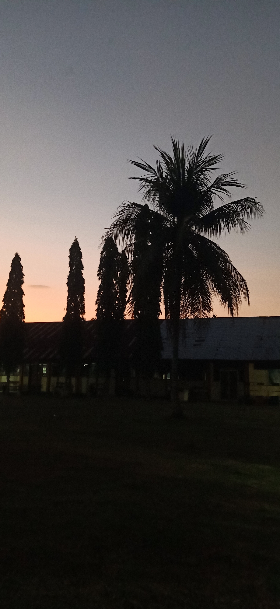 This image captures a serene sunset scene in Tambontunong, Indonesia. The sky displays a gradient of dusky purple at the top, transitioning to a soft orange hue near the horizon. Silhouetted against this twilight sky are several tall, slender trees and a prominent coconut palm. Behind the trees and palm, a low-lying building with a visible roofline and some windows can be discerned. The foreground is occupied by a dark, grassy area. The overall impression is one of calm and tranquility as day transitions into night.