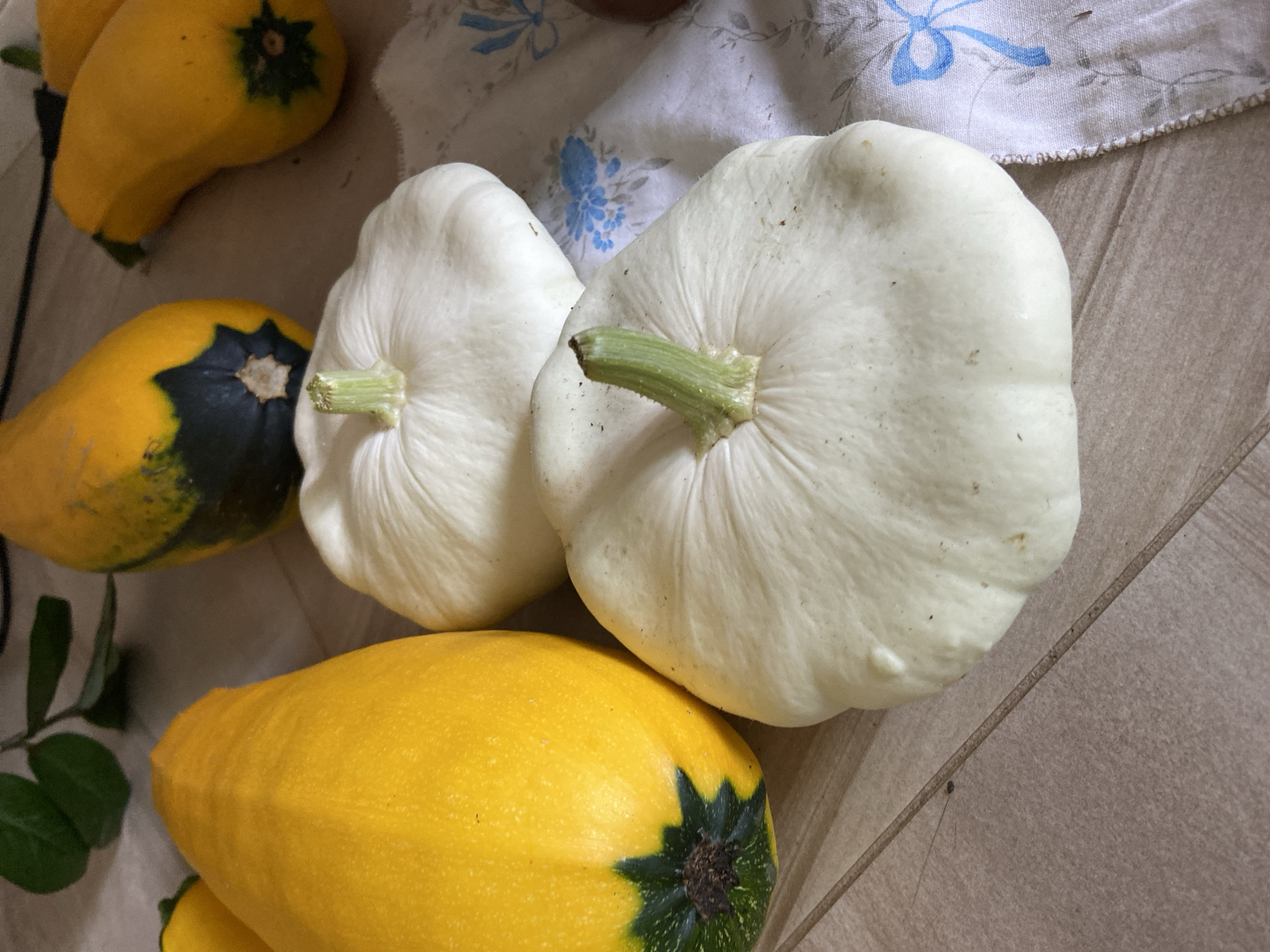 The image shows a close-up, overhead view of several types of squash arranged on a wooden surface, possibly a table. In the foreground, two round, white pattypan squashes are prominently featured. Their stems are visible, with the bottom squash having a slightly longer, greener stem. To the left of the pattypan squashes is a large, elongated yellow squash, its dark green rind contrasting with its vibrant yellow body. In the background, other squash varieties are partially visible, including one with yellow and dark green markings, and another elongated yellow squash. A piece of fabric with a blue floral pattern and a blue bow is draped to the right of the pattypan squashes. A few green leaves are also visible in the upper left corner. The lighting suggests natural daylight, casting soft shadows. The location is described as Зимородок Днп, Russia.