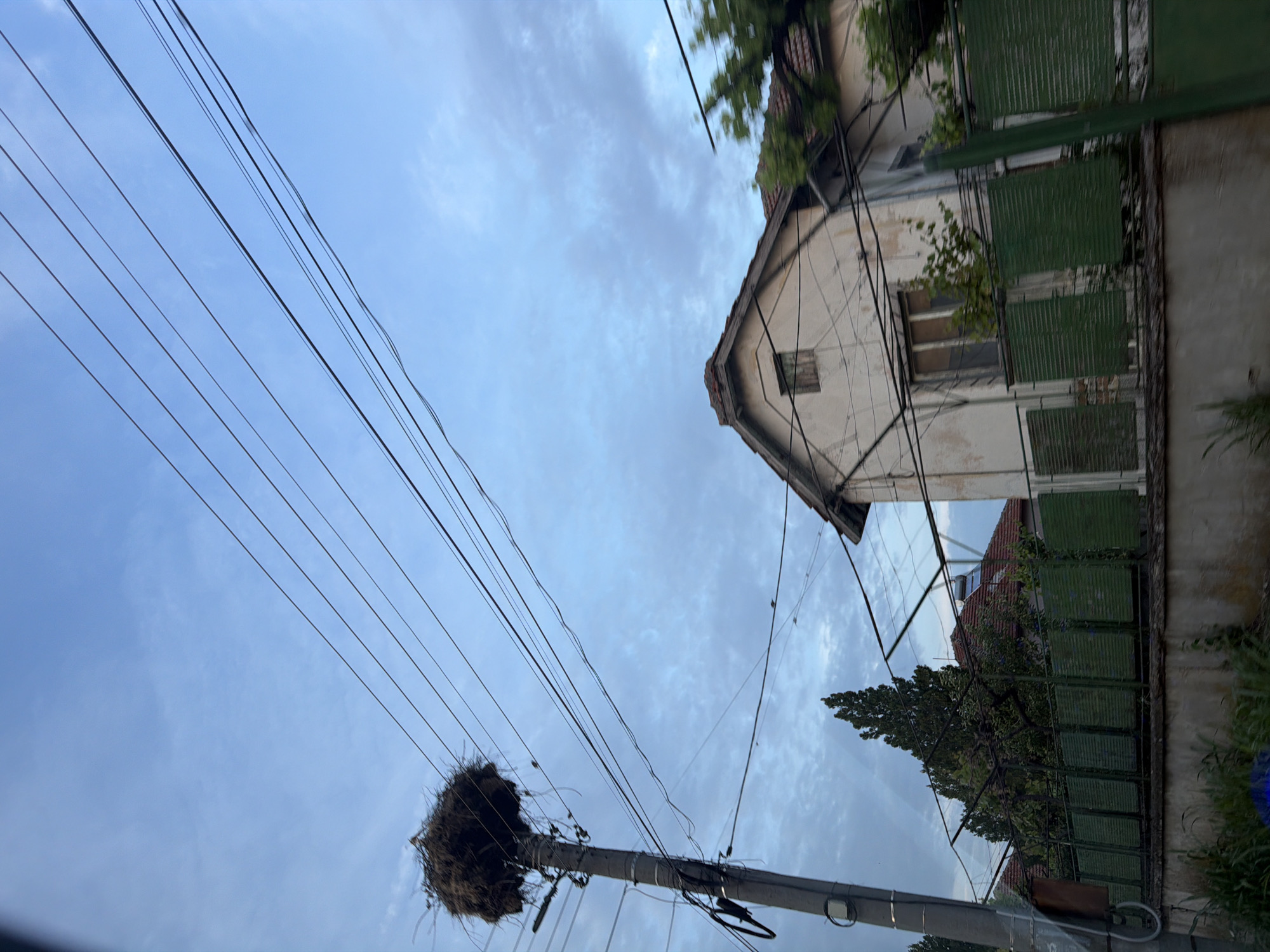 This image captures a daytime scene in Krushovitsa, Bulgaria, under a pale blue sky with scattered light clouds. The primary focal point on the left is a tall, grey utility pole, upon which a large, bulky nest constructed from branches and twigs is prominently situated at its apex. Numerous black utility wires extend horizontally and diagonally across the upper and middle portions of the frame, originating from and connecting to the pole, and extending towards the right side of the image.
To the right, an aged, light-colored two-story house with a red tiled roof is partially visible. Its facade exhibits peeling plaster and discolored patches. Visible windows include an upper, smaller rectangular window, possibly boarded or shuttered, and a larger ground-floor window, partially obscured by green metal slatted fencing and some vegetation. Additional utility wires are seen draped across the house's exterior. In front of the house and extending towards the left, a series of connected green metal fences, composed of horizontal slats, are mounted on a low, concrete retaining wall. Behind these fences, various trees and shrubs are present, including a tall, slender conifer-like tree positioned centrally behind the fencing. No people or animals are explicitly visible within the frame. The lower portion of the image shows indistinct ground cover, suggesting vegetation and possibly a dirt or unpaved surface.