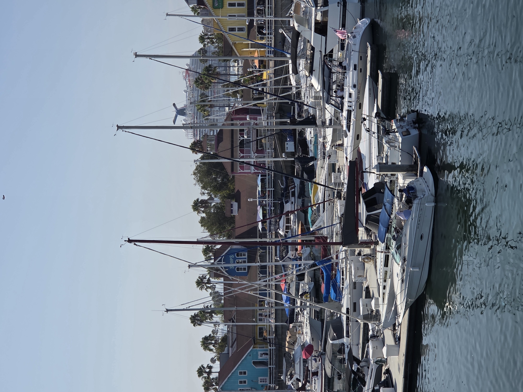 The image depicts a vibrant marina in Long Beach, California, bathed in sunlight. Numerous sailboats and motorboats are docked, their masts creating a striking vertical pattern against the clear blue sky. In the background, a large cruise ship is visible, its distinctive red and white funnel standing out. Colorful buildings, typical of a waterfront district, line the shore, with palm trees adding a tropical touch. Several people can be seen on the boats and docks, suggesting a lively atmosphere. The water in the harbor is calm, reflecting the boats and the surrounding structures. The overall scene captures the essence of a popular tourist destination, offering a glimpse into the maritime activities and coastal charm of Long Beach.