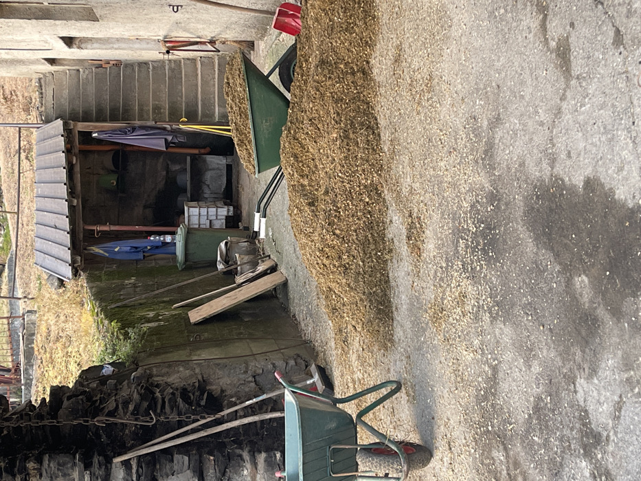 This media file depicts an outdoor and semi-covered functional area, likely part of a farm or rural property in Castione, Italy. The primary subject is a large pile of light brown, granular material, possibly wood shavings, sawdust, or animal feed, spread across a concrete surface on the right side of the frame.
Two green wheelbarrows are present: one in the mid-ground is filled with the granular material, resting near the large pile, and another empty wheelbarrow is closer to the foreground. To the left, a rustic wooden shed or lean-to structure with a sloped roof houses various objects, including two blue umbrellas, industrial-style green and white containers, and wooden planks. Behind this structure, a set of concrete stairs ascends.
The setting includes concrete ground, stone walls, and some dry vegetation on the left. Visible details also include metal chains hanging from a stone wall in the lower left, and the handle of a red shovel near the full wheelbarrow. The scene suggests a workspace or storage area related to agricultural or industrial activities.
The image is captured during the daytime under natural light. No specific weather conditions are indicated other than clear skies. There are no people visible, implying an unoccupied moment in a working environment. No visible text is present.