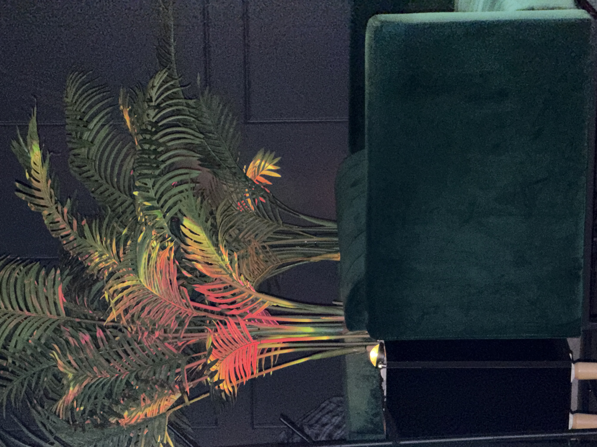 A dimly lit, indoor scene features a dark green, plush-looking chair positioned to the right. To the left, there is an arrangement of artificial palm leaves, illuminated with green, yellow, and red light. The backdrop appears to be a paneled wall of a dark color. The location is unknown, as it cannot be determined from the image that this scene is in the city of Chaikovsky, Russia.