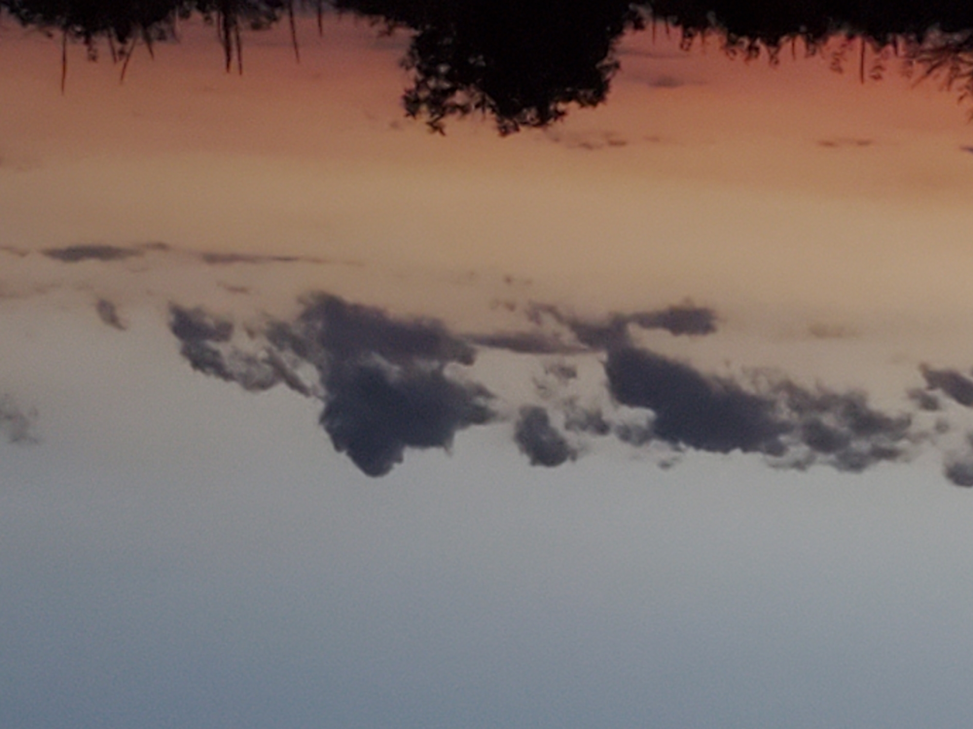 The image depicts a twilight sky over a silhouetted landscape. The sky transitions from a pale blue at the top to a warm orange-pink hue near the horizon. Dark, scattered clouds are visible in the upper half of the frame. The lower portion of the image is dominated by the dark silhouettes of trees and foliage. The scene appears to be a natural or semi-natural environment, with no distinct urban structures immediately apparent. The location is identified as Konstantinovka, Moldova, suggesting a rural or suburban setting.