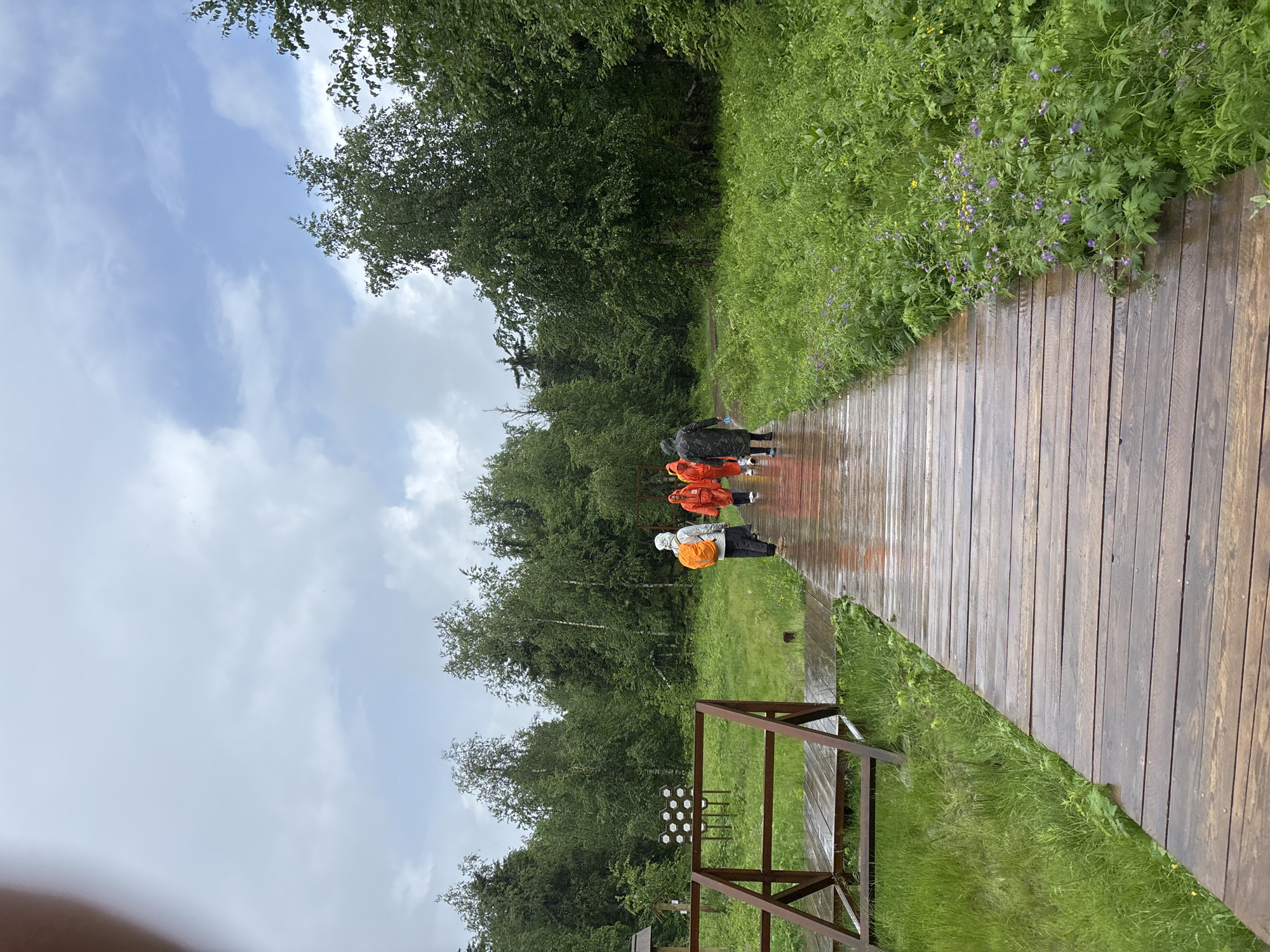 Four individuals wearing bright orange raincoats are walking away from the camera on a wet wooden boardwalk. One individual in the foreground on the left has a bright orange backpack. They are walking through a lush green natural environment with trees and foliage. The sky is overcast and appears to be raining. The location is specified as Shumikhinskii, Russia.