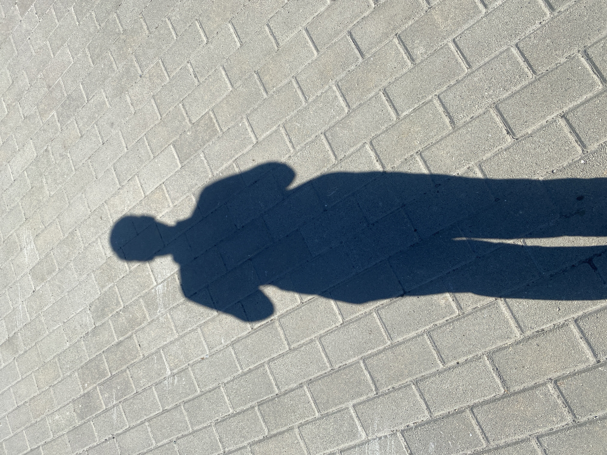 The image shows a shadow of a person projected onto a paved surface of interlocking rectangular bricks. The shadow is dark and distinct, with the silhouette of a head, torso, arms, and legs clearly visible. The person appears to be standing upright, with arms held somewhat away from the body. The paving stones are light gray and arranged in a diagonal pattern, creating a textured background. The lighting suggests it is daytime, likely with a strong light source casting the shadow. There are no other objects or people visible in the image. The location is described as the city of Rozhny, Ukraine.