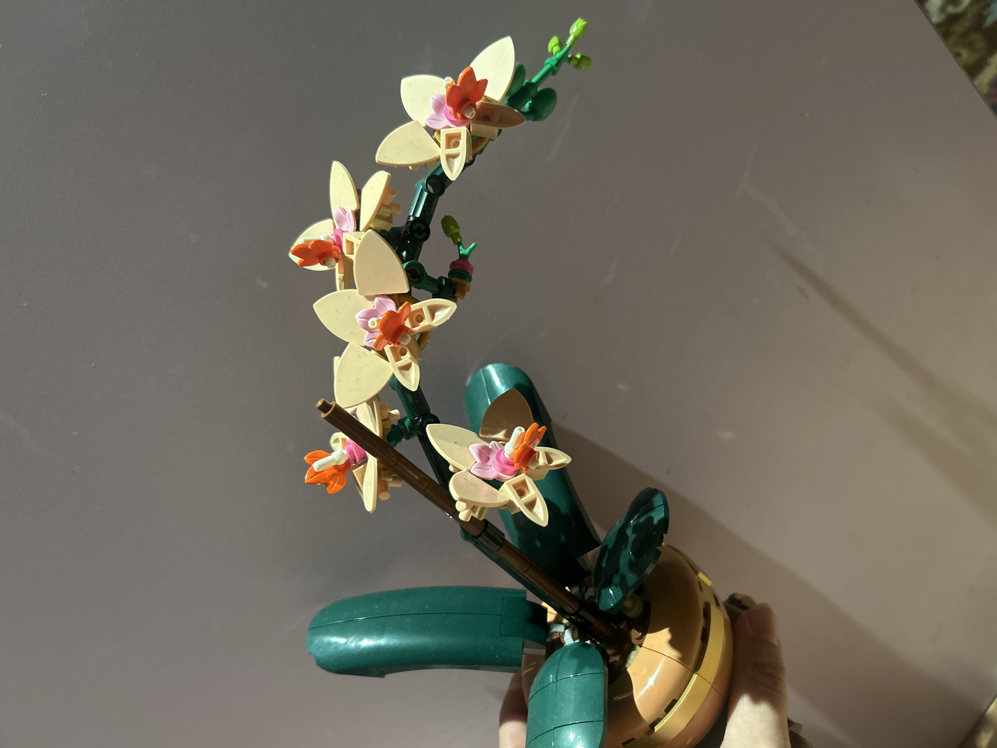 The image shows a Lego orchid plant. The plant has several light yellow flowers with orange and pink accents in the center of each flower. The stems and leaves of the plant are green and brown, and the pot is a combination of tan and green. A hand can be seen holding the Lego plant. The background is a blurry combination of white and beige.
There is no indication of the location being in Plovdiv, Bulgaria.