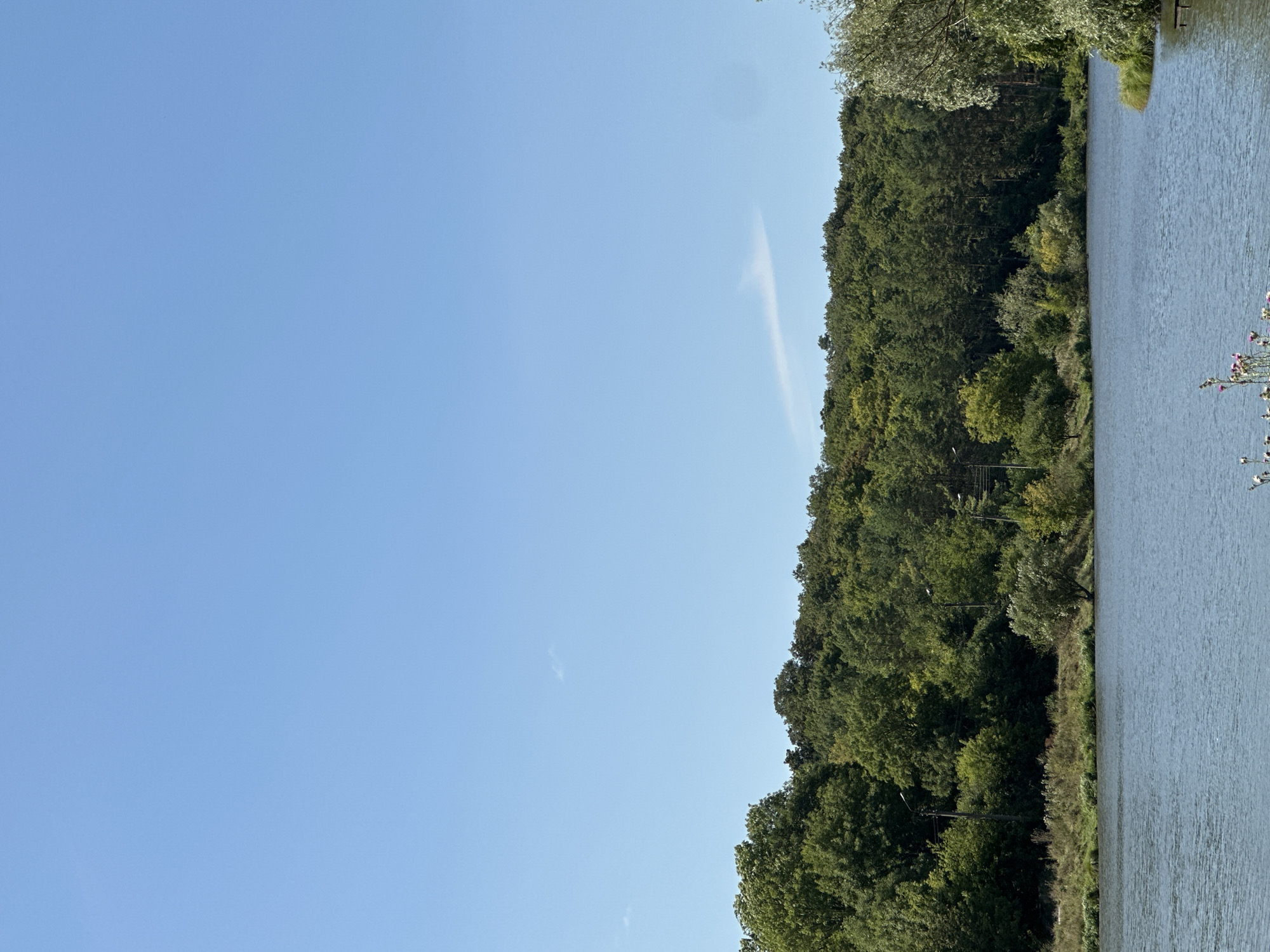 The image depicts a serene natural landscape with a body of water in the foreground and a dense forest in the background under a clear blue sky. The water is calm and reflects the light, suggesting it is a lake or a wide river. The forest is lush and green, characteristic of a temperate climate, and appears to be on a gentle slope rising from the water's edge. The sky is mostly cloudless, with a few wispy trails of cirrus clouds visible. The overall scene conveys a sense of tranquility and natural beauty. The location is specified as Makiv, Ukraine.