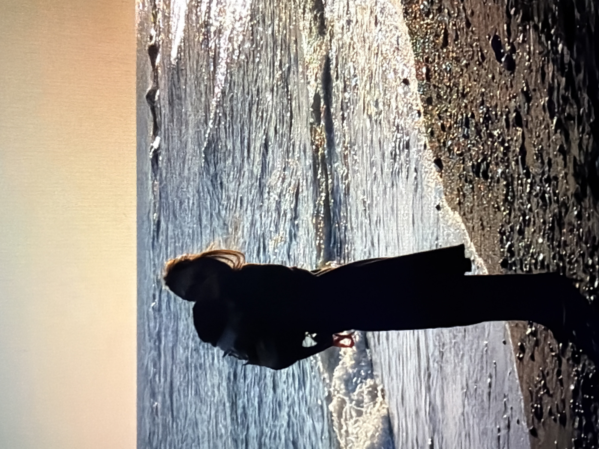 A person, silhouetted in dark clothing and carrying a backpack, stands on a beach facing the sea. The person's hair is long and light brown, and they are positioned on the left side of the frame. The beach is covered in small, dark pebbles and rocks. Gentle waves are rolling in from the sea, creating white foam at the shoreline. The sea stretches to the horizon, where it meets a pale, warm-toned sky, suggesting either sunrise or sunset. The water reflects the light, creating a shimmering effect. The location is identified as the Sirius federal territory, Russia.