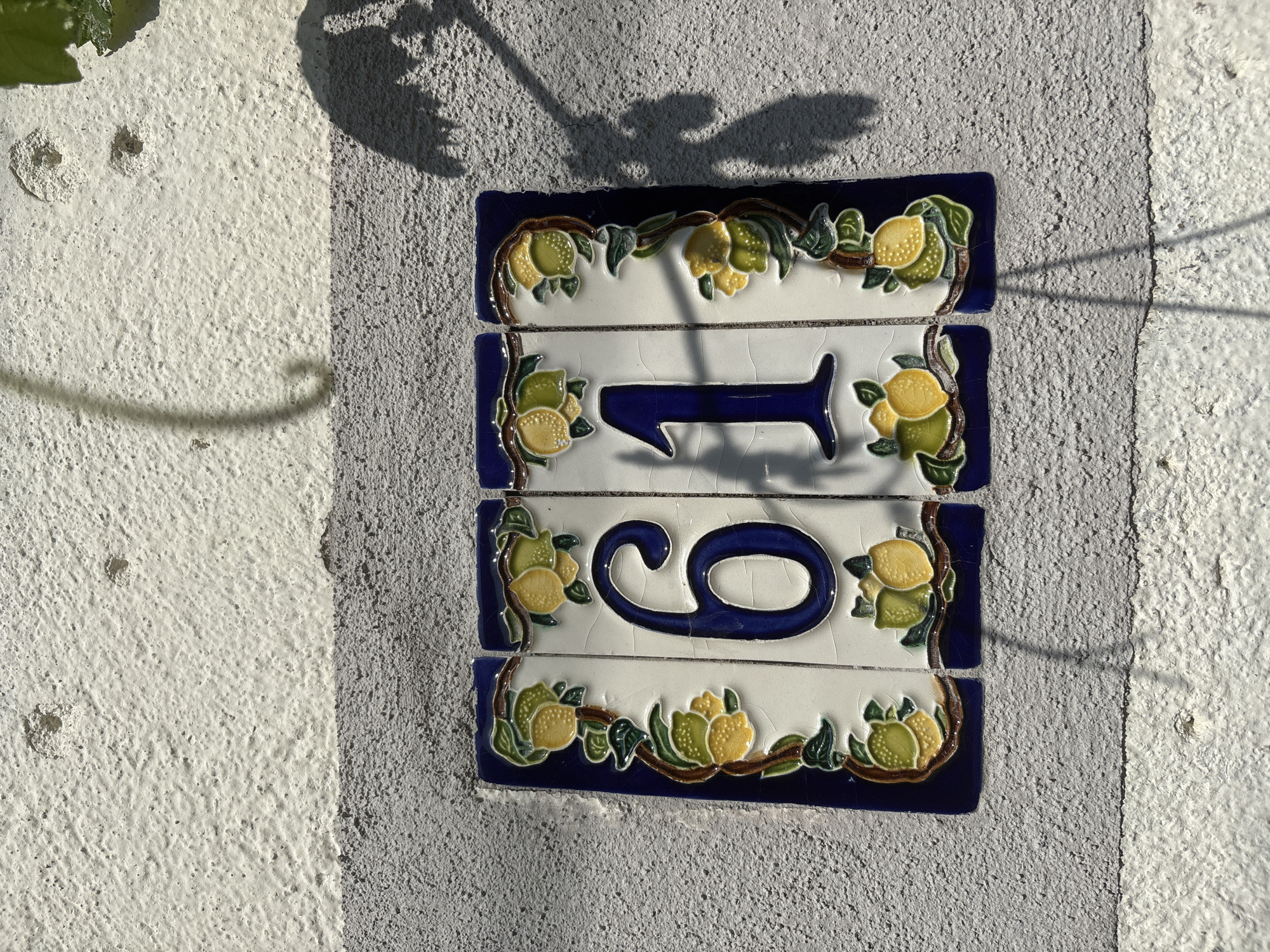 A close-up, eye-level photograph captures a ceramic house number "61" mounted on a textured stucco wall. The wall is bifurcated horizontally; the upper section is off-white, and the lower section, where the tiles are affixed, is light grey.
The house number "61" is composed of four individual ceramic tiles. The two central tiles feature the dark blue numbers "6" and "1" respectively, set against a white background. These number tiles exhibit fine craze lines in their white glaze. Flanking these number tiles are two vertical border tiles, also ceramic. All four tiles are adorned with an embossed design depicting branches with green leaves and yellow lemons, characteristic of traditional Mediterranean tilework. The borders of the tiles are a deep blue.
The scene is illuminated by strong, direct sunlight, casting distinct shadows onto the wall and across the tiles. A prominent shadow of a leafy branch is visible on the upper right side of the image, extending across the "1" tile and the right border tile. Another thin, curved shadow is present on the upper left off-white wall section. The rough texture of the wall is clearly visible, with small indentations and raised颗粒.
Location: Unknown, Unknown.