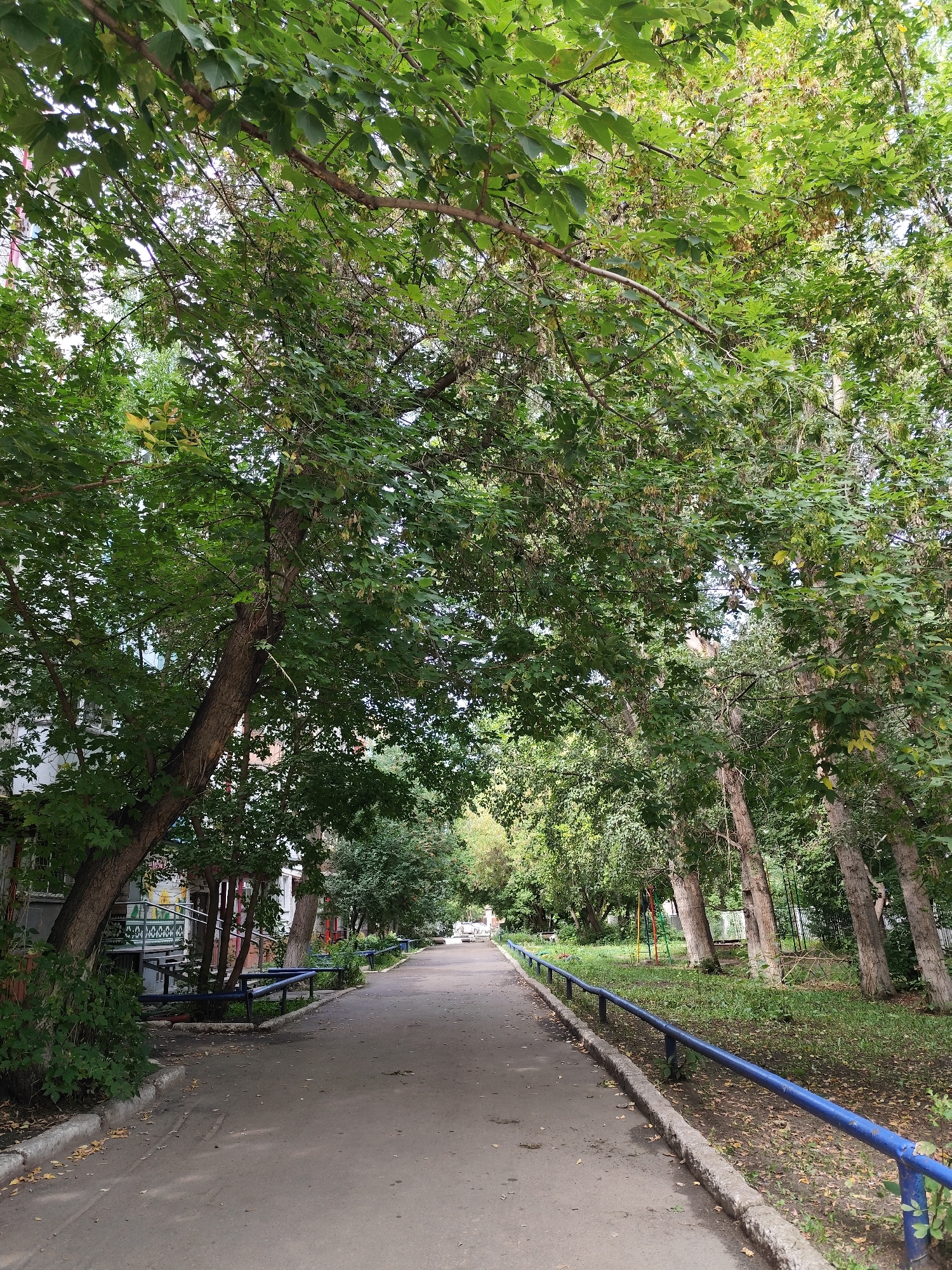 This image depicts a residential courtyard in Petropavl, Kazakhstan. A paved pathway, lined with trees and a blue metal railing, extends into the distance. On the left side of the pathway, a multi-story building with visible windows and a green and white patterned railing is present. Several trees with dense green foliage overhang the pathway, casting shadows. The ground beside the pathway is covered with grass and fallen leaves. In the background, glimpses of playground equipment are visible. The overall scene suggests a typical urban residential environment during the daytime.