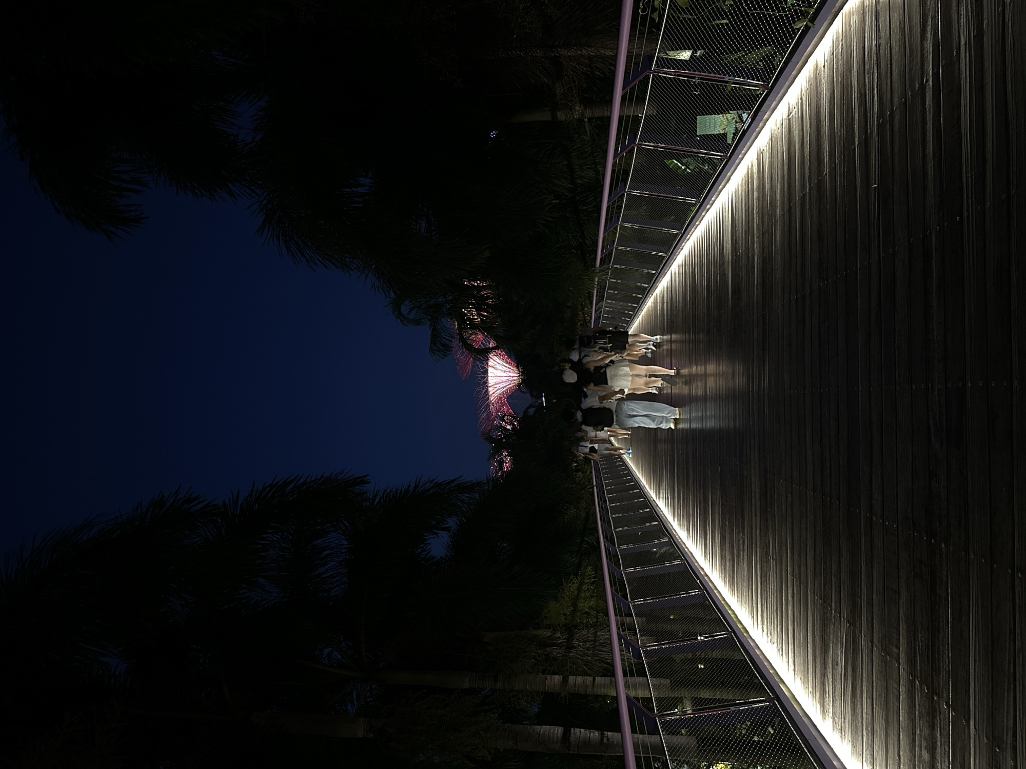 The image depicts a walkway at night in Singapore. In the foreground, a wooden bridge curves away from the viewer, illuminated by a strip of white light running along its left edge. The bridge is lined with railings and fencing. A group of people, seen from behind, are walking away from the viewer down the bridge. They are casually dressed, with some wearing shorts and t-shirts.
In the background, silhouetted palm trees flank the walkway. Further in the distance, the iconic Supertrees of Gardens by the Bay are visible, illuminated with a pinkish-red glow. The sky above is a deep, dark blue, indicating nighttime. The overall scene captures a serene evening stroll through a well-lit, modern urban park.