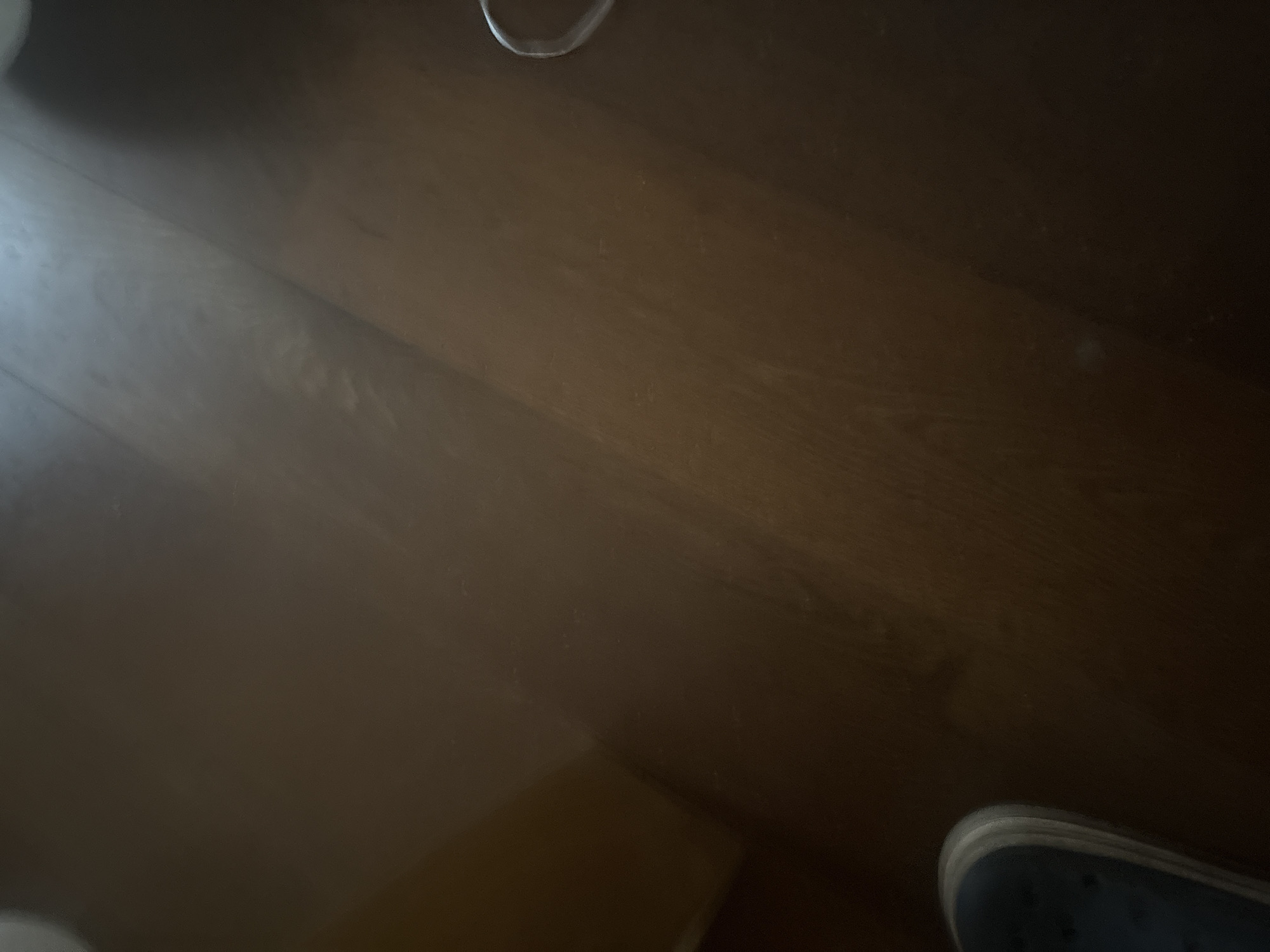 The image shows a close-up view of a wooden floor. A person's blue shoe is visible in the bottom left corner. In the upper right corner, a portion of a white object, possibly a cup handle, is visible. The lighting suggests an indoor setting. The scene is a floor in an unknown location.