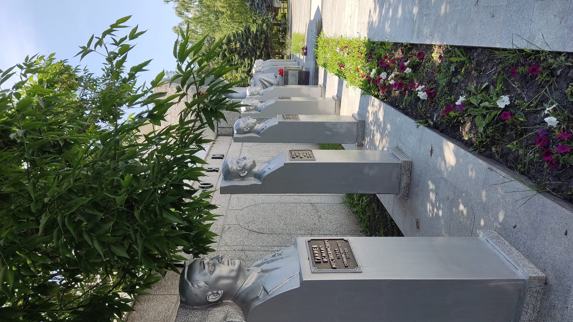 The image displays a row of busts of individuals, presumably heroes or notable figures, lined up on pedestals. These busts are gray and metallic, each with a plaque attached. One plaque clearly visible has Cyrillic text, reading "ГАННЕЕВ ИСААКИЙ МУСТАКИМОВИЧ ГЕРОЙ СОЦИАЛИСТИЧЕСКОГО ТРУДА". The scene is outdoors, with a walkway made of light-colored stone tiles. To the left of the busts, a lush green tree with many leaves partially obscures the view. To the right, a flowerbed is visible with pink, white, and purple petunias growing. The sky is clear and blue, suggesting a sunny day. The busts are arranged in a line, receding into the distance, and appear to be part of a memorial or monument. The overall impression is one of solemn remembrance and tribute. The time of day is likely daytime, given the clear sky and shadows. The location cues suggest an outdoor public space in Takhtamukai, Russia.