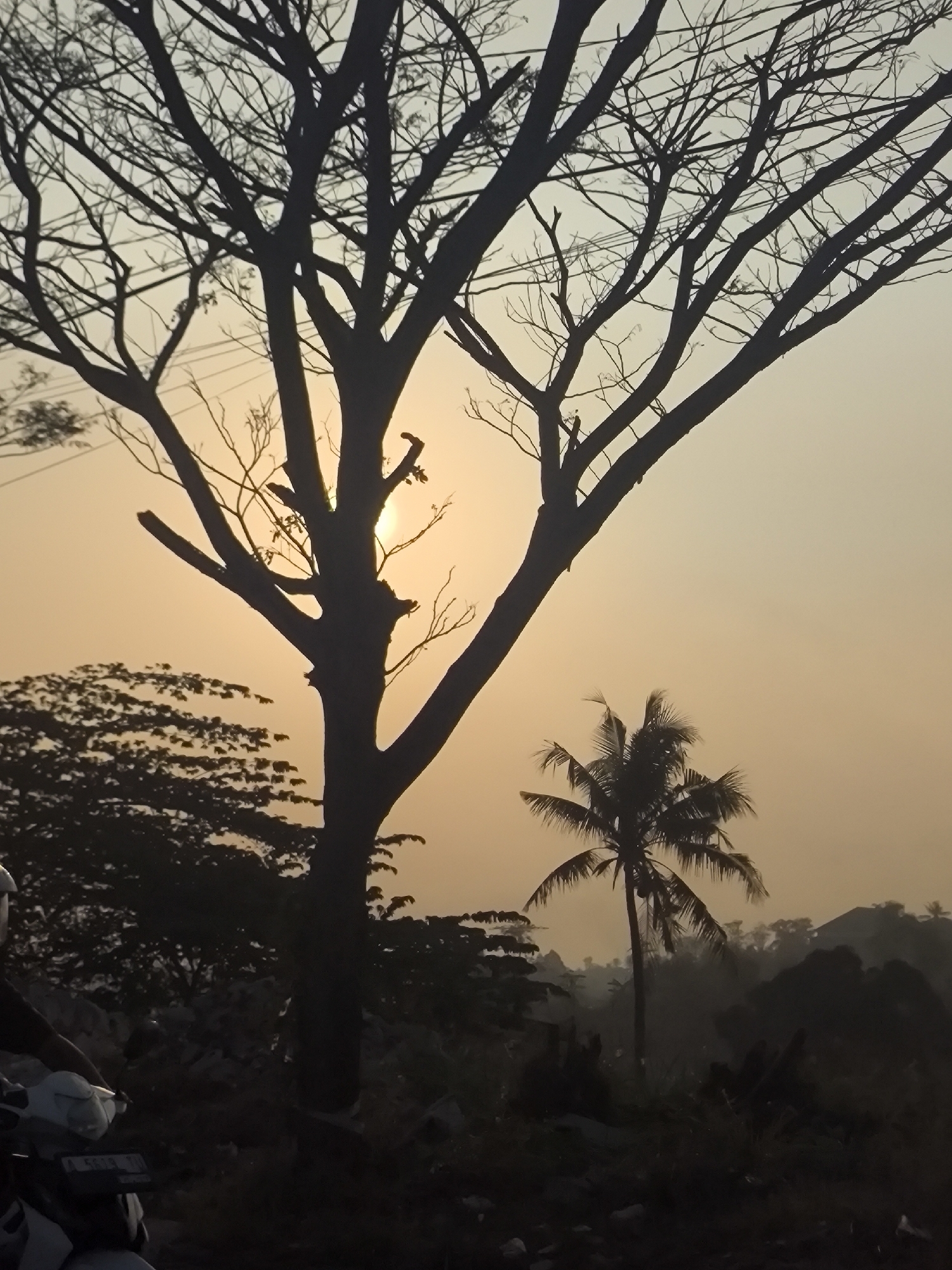 This image captures a silhouetted view of a large tree with bare branches against a hazy, pale orange sky, possibly at sunrise or sunset. The sun is visible peeking through the branches of the tree. In the foreground, the dark silhouette of a motorcycle is partially visible, with the rider's arm and shoulder also in shadow. To the right of the main tree, a coconut palm tree stands, also in silhouette. The background shows a darker silhouette of trees and possibly some buildings or hills, shrouded in mist or atmospheric haze. The scene appears to be outdoors, likely in a rural or semi-rural area, and given the context of Cilegon, Indonesia, it could represent a typical landscape in the region.