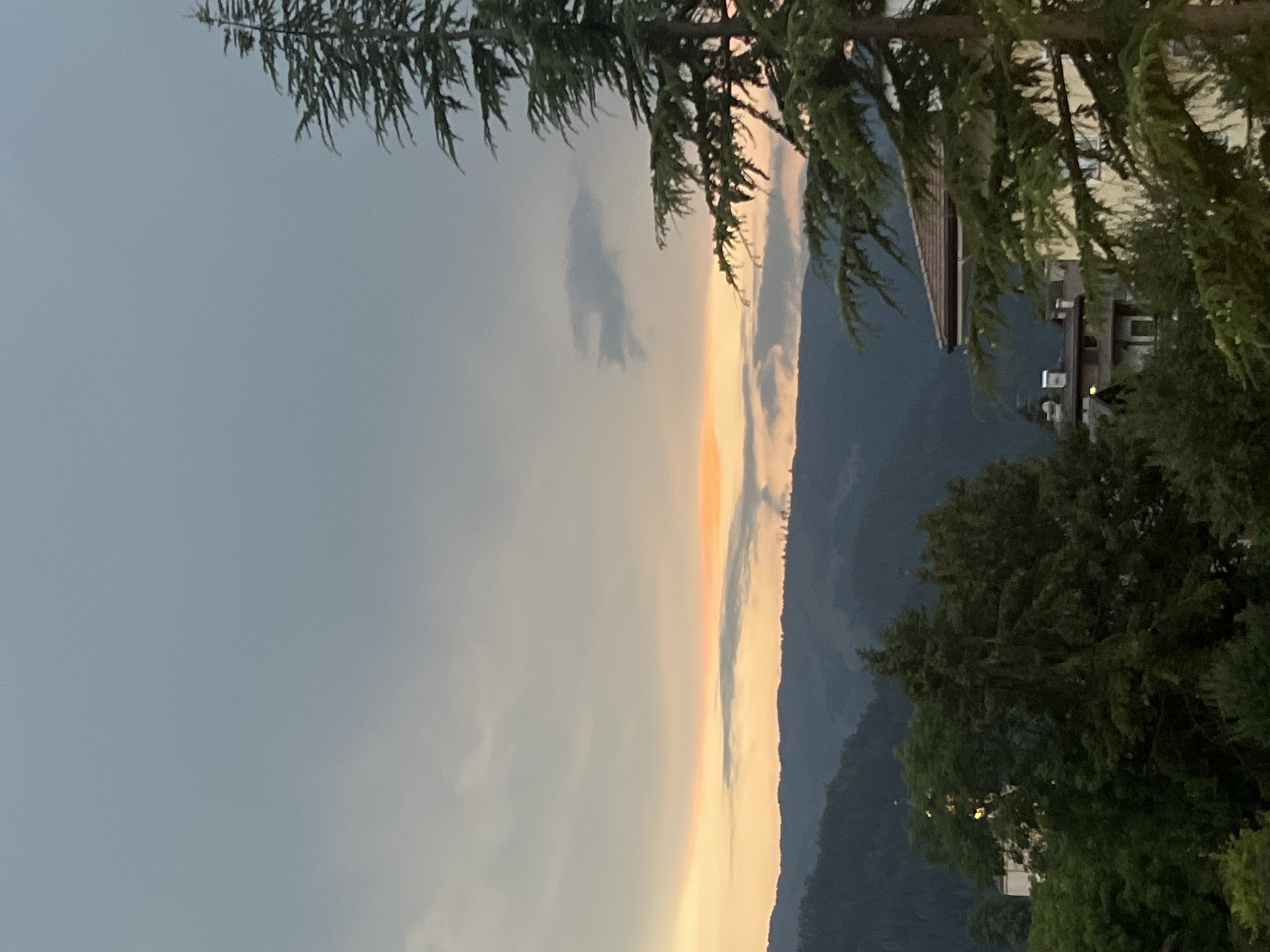 This image shows a view of Castello di Fiemme, Italy, at dusk. The sky is filled with clouds, with a band of orange and yellow light visible on the horizon, suggesting the sun has recently set. In the foreground, a large coniferous tree with dark green needles partially obscures the view of buildings and more trees. The buildings appear to be multi-story structures with visible windows and roofs. In the background, a range of dark, tree-covered hills forms a silhouette against the sky. The overall impression is one of a peaceful, natural landscape with hints of human habitation.