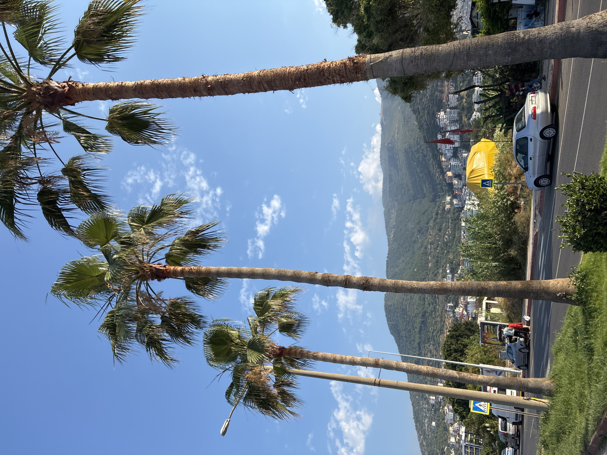 A view of a coastal city street in Alanya, Turkey, under a bright blue sky with scattered white clouds. The foreground is dominated by three tall palm trees, two on the right and one on the left, with their fronds reaching towards the sky. A street runs horizontally across the lower part of the image, with a sidewalk and grassy verge on the left. Several cars are visible on the street, including a silver sedan parked on the right side of the road, and a white van and a dark-colored minivan on the left.
Adjacent to the silver sedan on the right is a yellow, umbrella-like structure, and next to it are two red flags planted in the ground. Further back, a hill rises, covered with dense green vegetation and dotted with white buildings, characteristic of Alanya's hillside architecture. A pedestrian crossing sign with a blue background and a white pedestrian symbol is visible on the left side of the street.
Two people, one wearing a red shirt and the other a dark top, are standing near the open trunk of the silver sedan. Another person, wearing a plaid shirt, is leaning against the car on the right. The overall scene suggests a warm, sunny day in a Mediterranean coastal city.