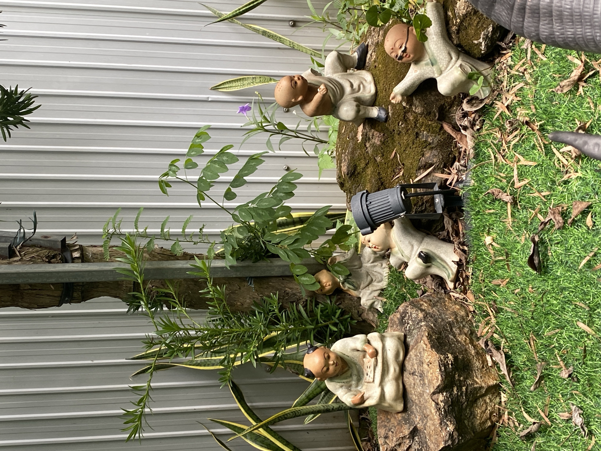 The image depicts a garden scene in Đà Nẵng, Vietnam, featuring several small ceramic statues of young monks. The statues are placed on rocks and the ground amidst lush green grass and various plants, including snake plants and a tree with leafy branches. A corrugated metal fence forms the background. One statue, seated on a rock, appears to be reading or looking at a scroll. Another statue is in a dynamic pose, as if practicing martial arts. A third statue is lying on its side, and a fourth is in a crouching position. A black spotlight is positioned on the ground near one of the statues. The overall impression is of a tranquil, decorative garden space.