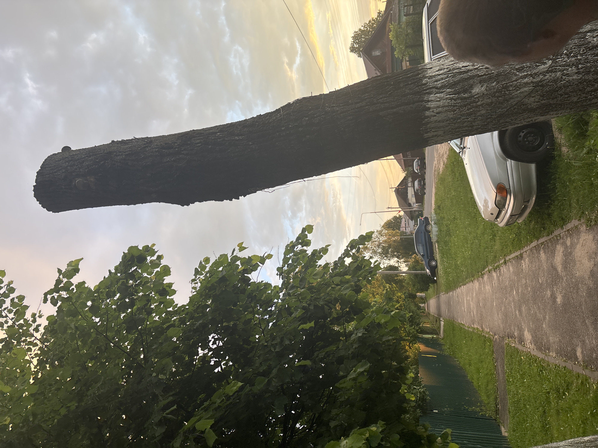 The image depicts a street scene in Krasnye Baki, Russia. In the foreground, a large, dark tree trunk is prominent, leaning at an angle and partially obscuring a silver car parked on the right side of the frame. The car appears to be a sedan. A sidewalk runs along the left side of the road, bordered by a green metal fence and lush grass. Beyond the fence, more trees and foliage are visible. The background shows several houses, a street lamp, and power lines, under a sky with scattered clouds. The lighting suggests it is either early morning or late afternoon. No people are clearly visible in the frame.