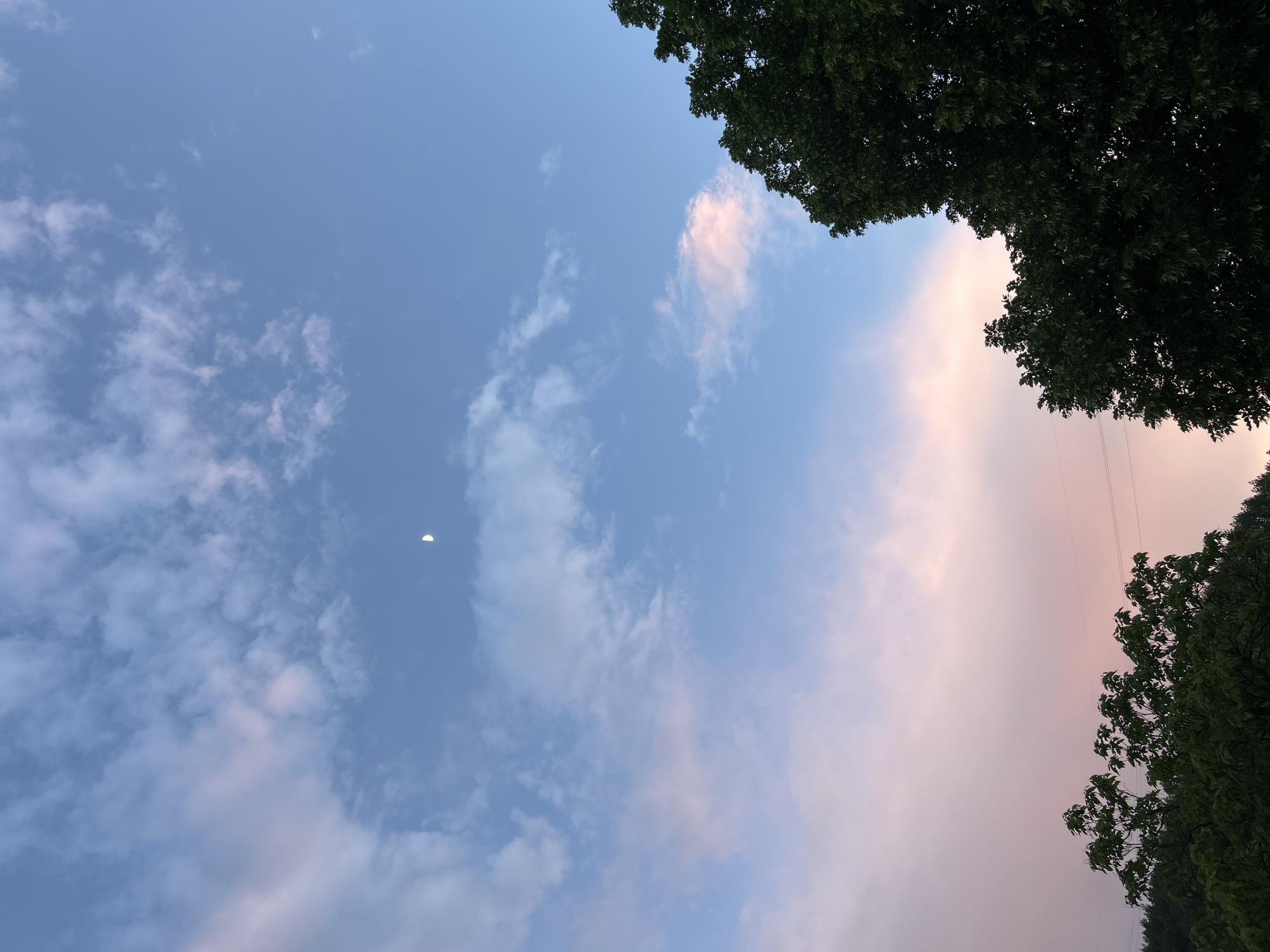 A low-angle shot of a sky at dawn or dusk. The sky is blue, with some pinkish-purple clouds at the right and bottom edges of the image. There are green tree leaves at the top-right and bottom-right corners, and a crescent moon is visible in the upper-left quadrant of the sky. Thin power lines run down through the top and bottom right sides. The image was taken in the city of Unknown, Unknown.